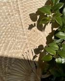Textured close-up of terracotta and emerald leaves blending into natural fibers.