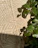 A textured woven surface made of natural fibers is depicted, with vibrant green leaves casting shadows across it. The intricate pattern of the weave contrasts with the organic shapes of the leaves.