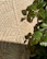 A textured woven surface made of natural fibers is depicted, with vibrant green leaves casting shadows across it. The intricate pattern of the weave contrasts with the organic shapes of the leaves.