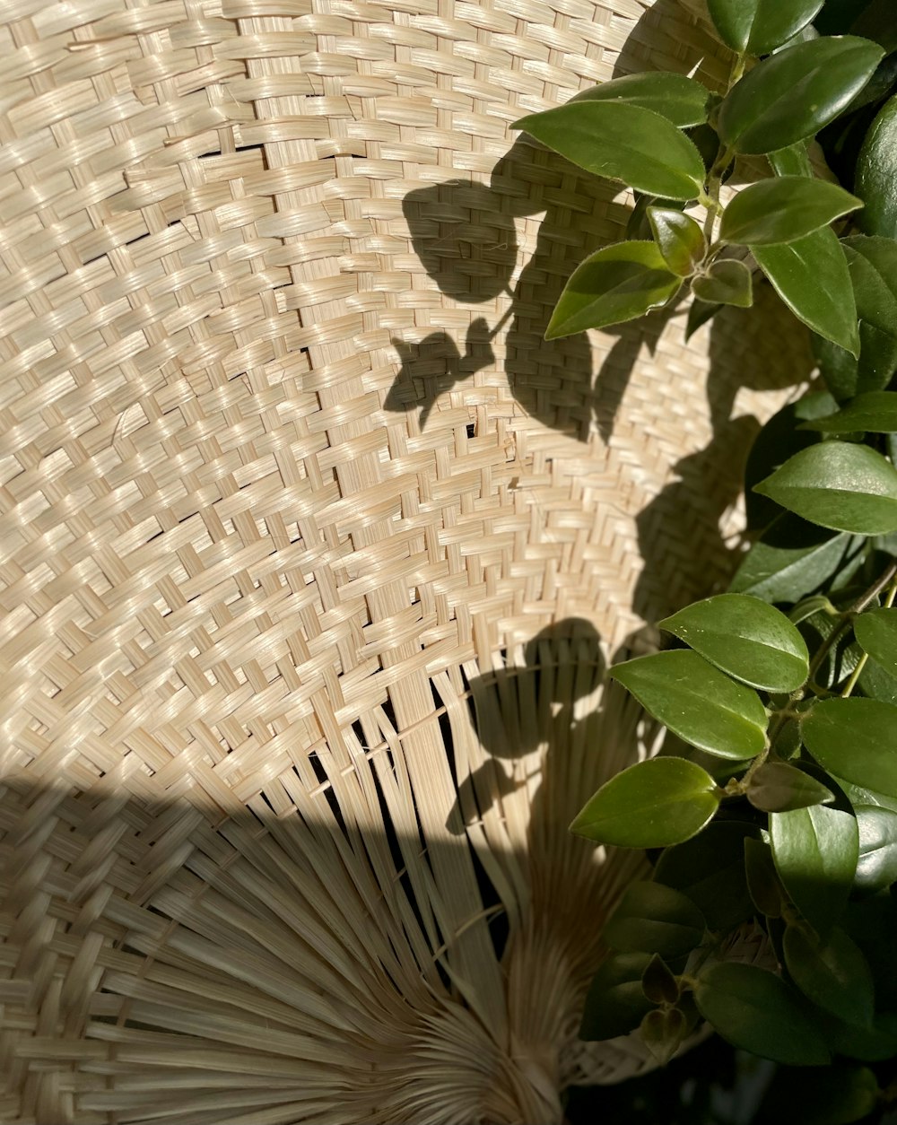a close up of a straw hat on a tree