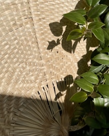 A textured woven surface made of natural fibers is depicted, with vibrant green leaves casting shadows across it. The intricate pattern of the weave contrasts with the organic shapes of the leaves.