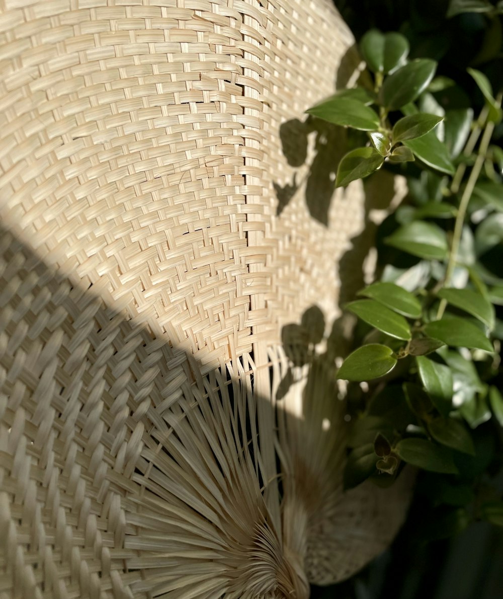 a close up of a straw hat on a plant