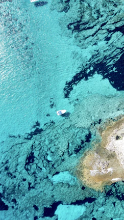 Wide shot of Alta Maréa cutting through crystal-clear waters under a bright blue sky.
