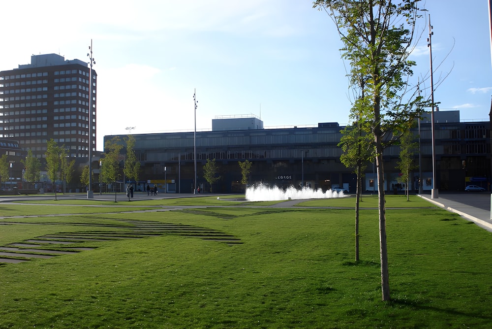 a grassy field with a fountain in the middle of it
