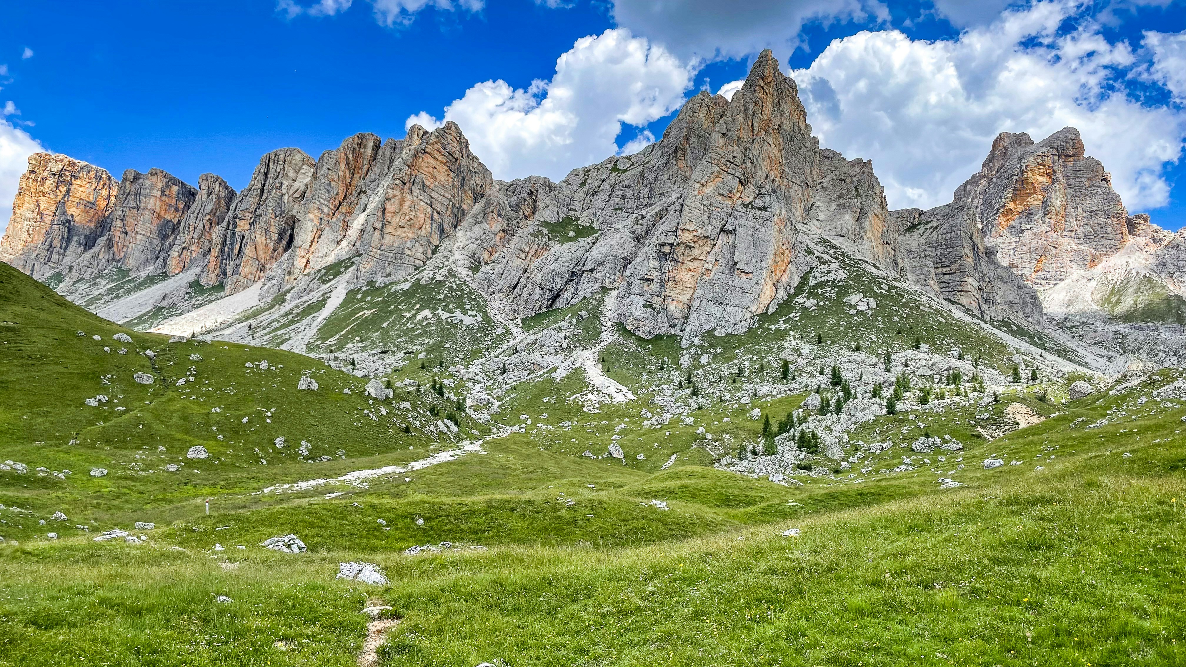 Photo by tyrannosara