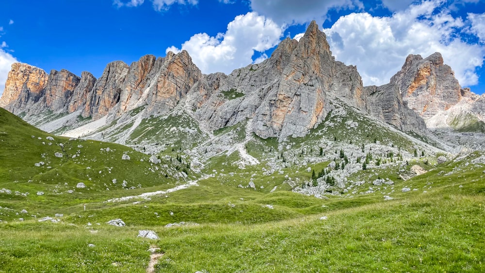 a grassy field with mountains in the background