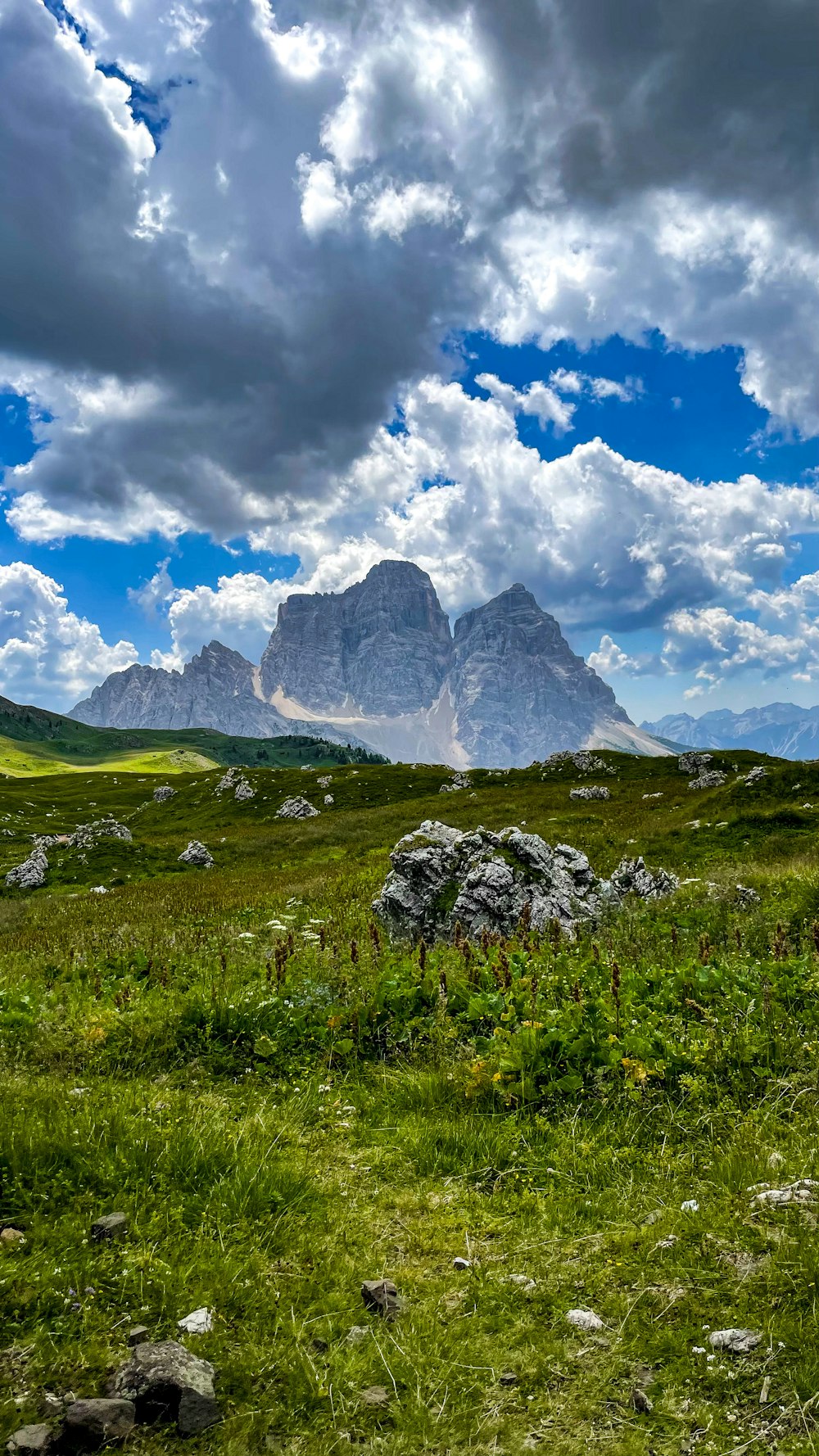 a grassy field with a mountain in the background