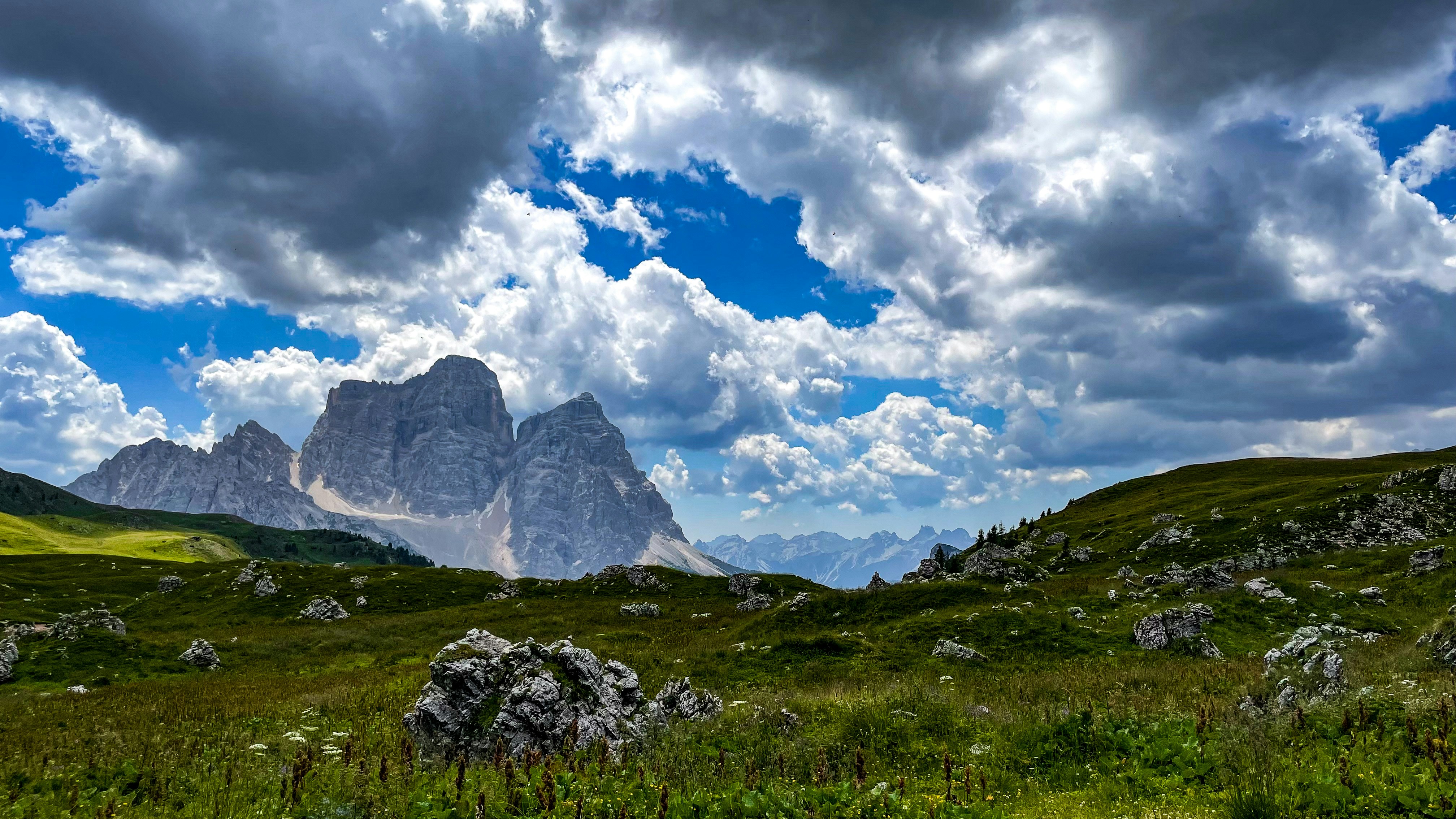 Photo by tyrannosara