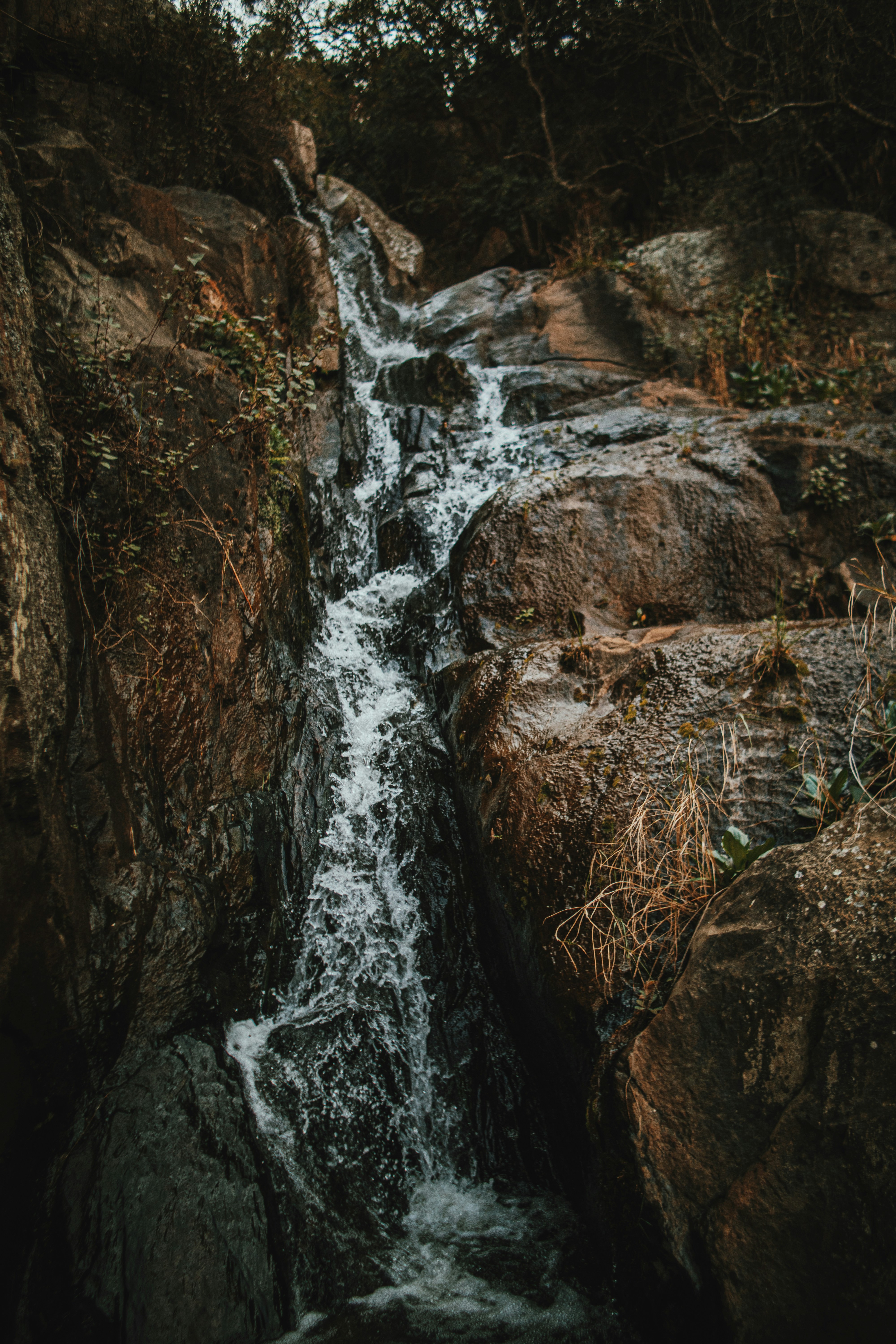 Photo by michaeljfali