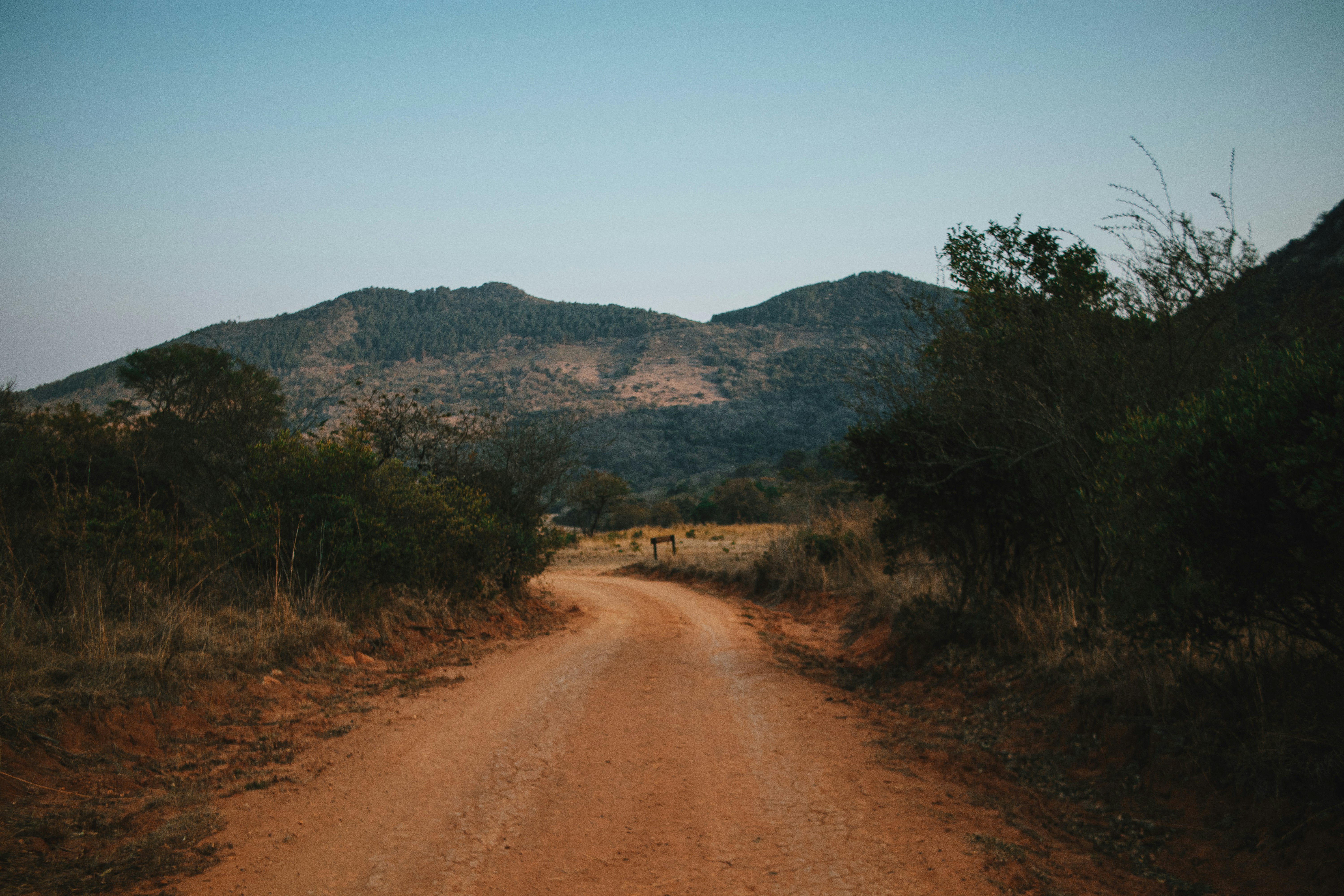 Photo by michaeljfali