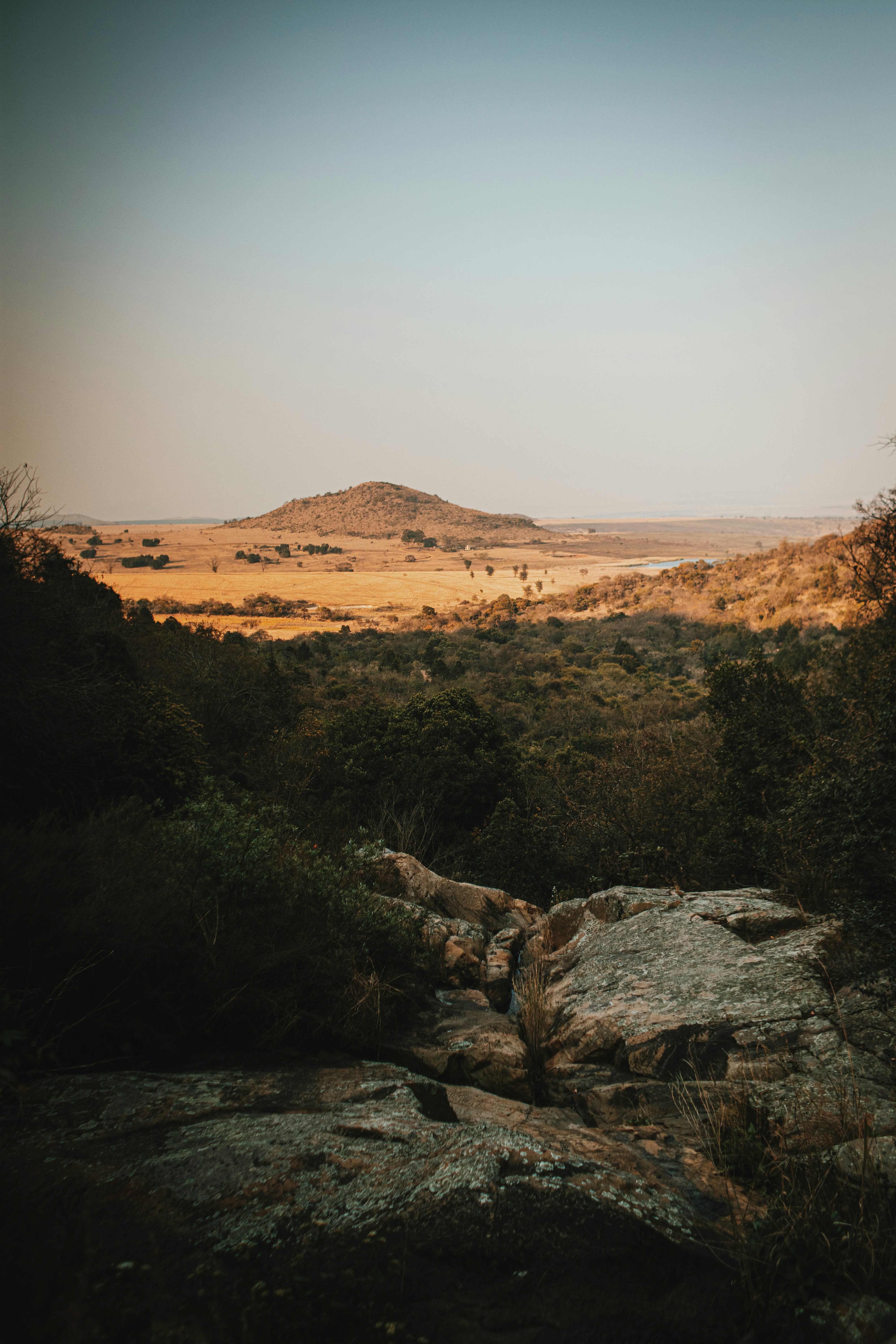 Photo by michaeljfali