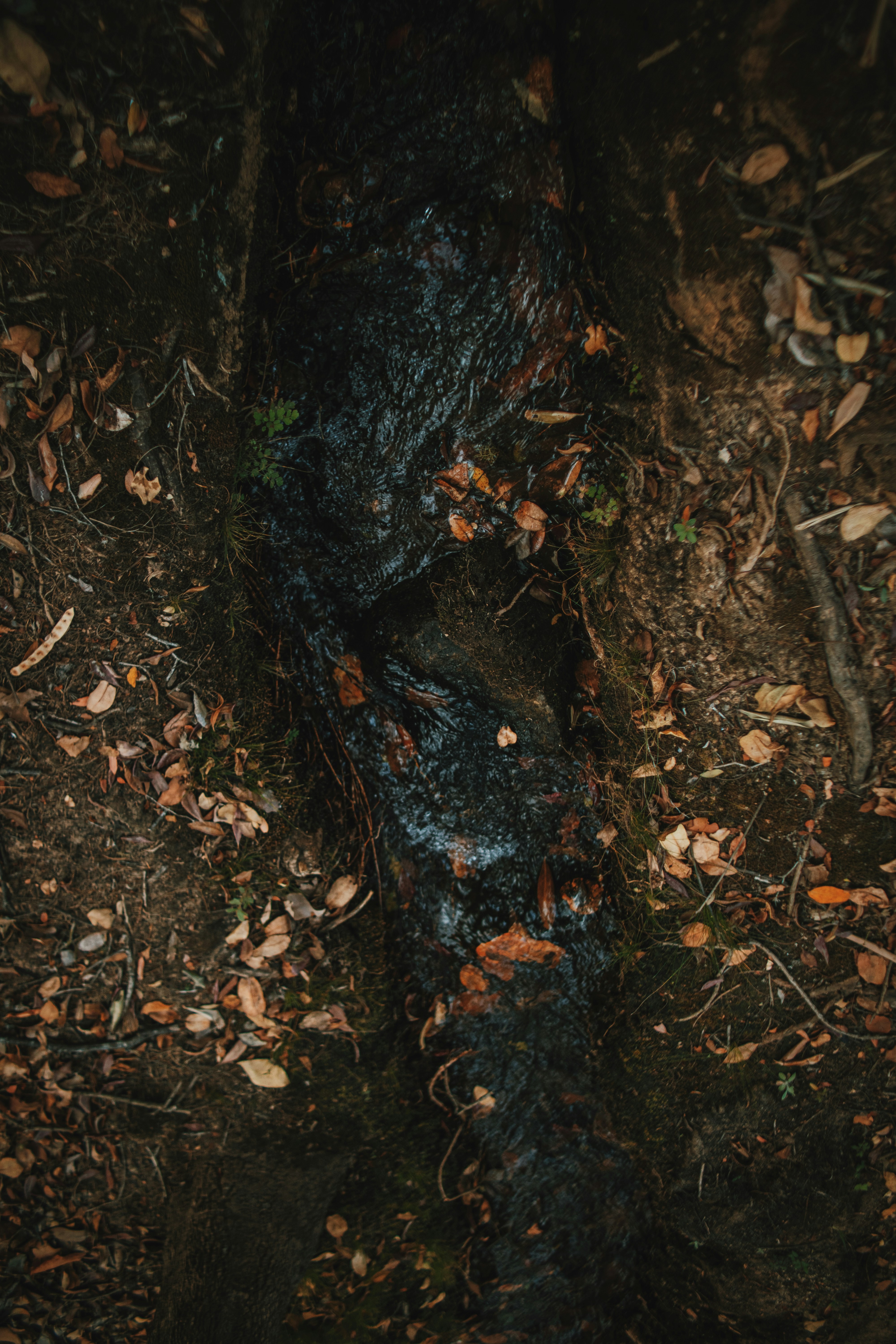 Photo by michaeljfali