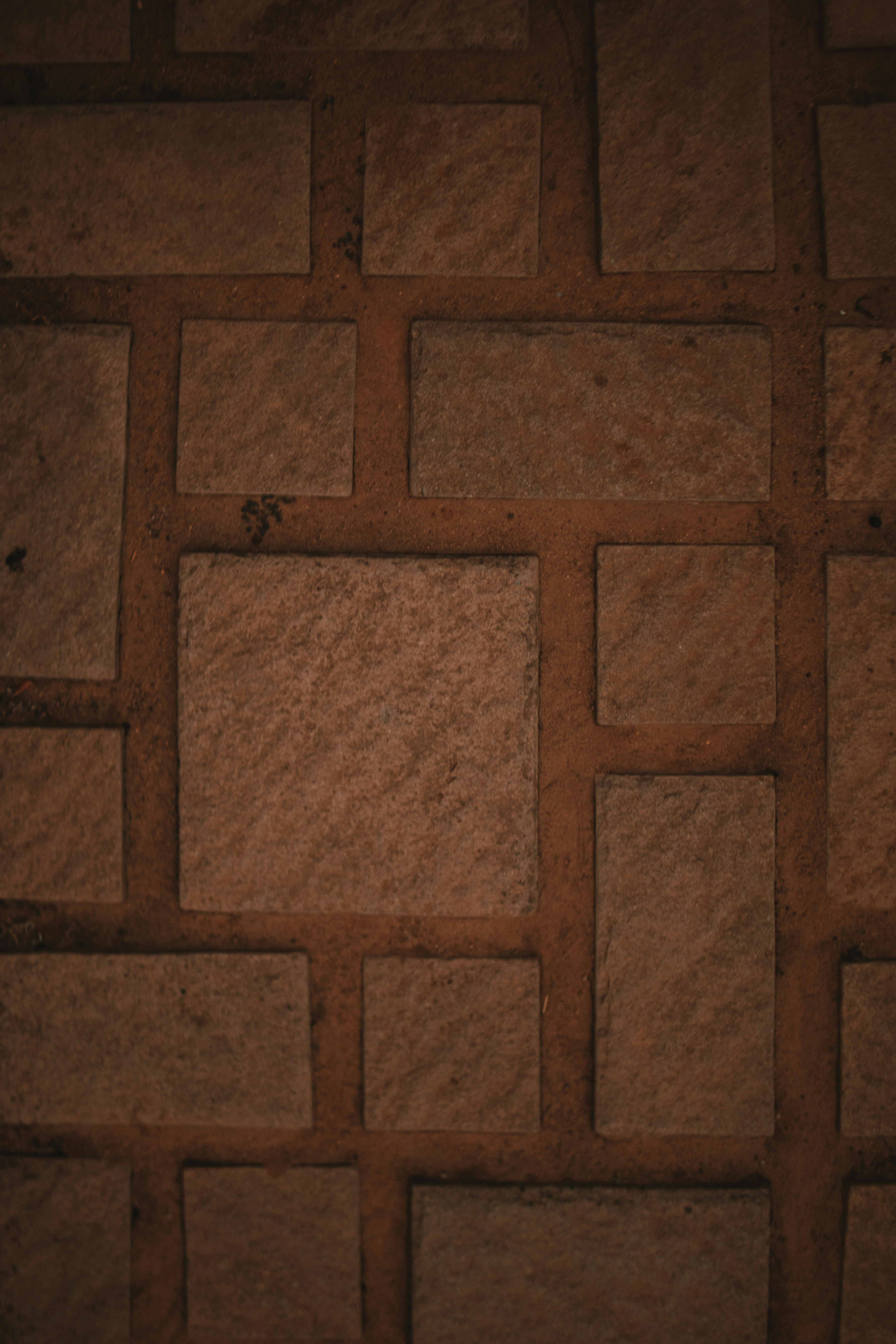 Photo by michaeljfali