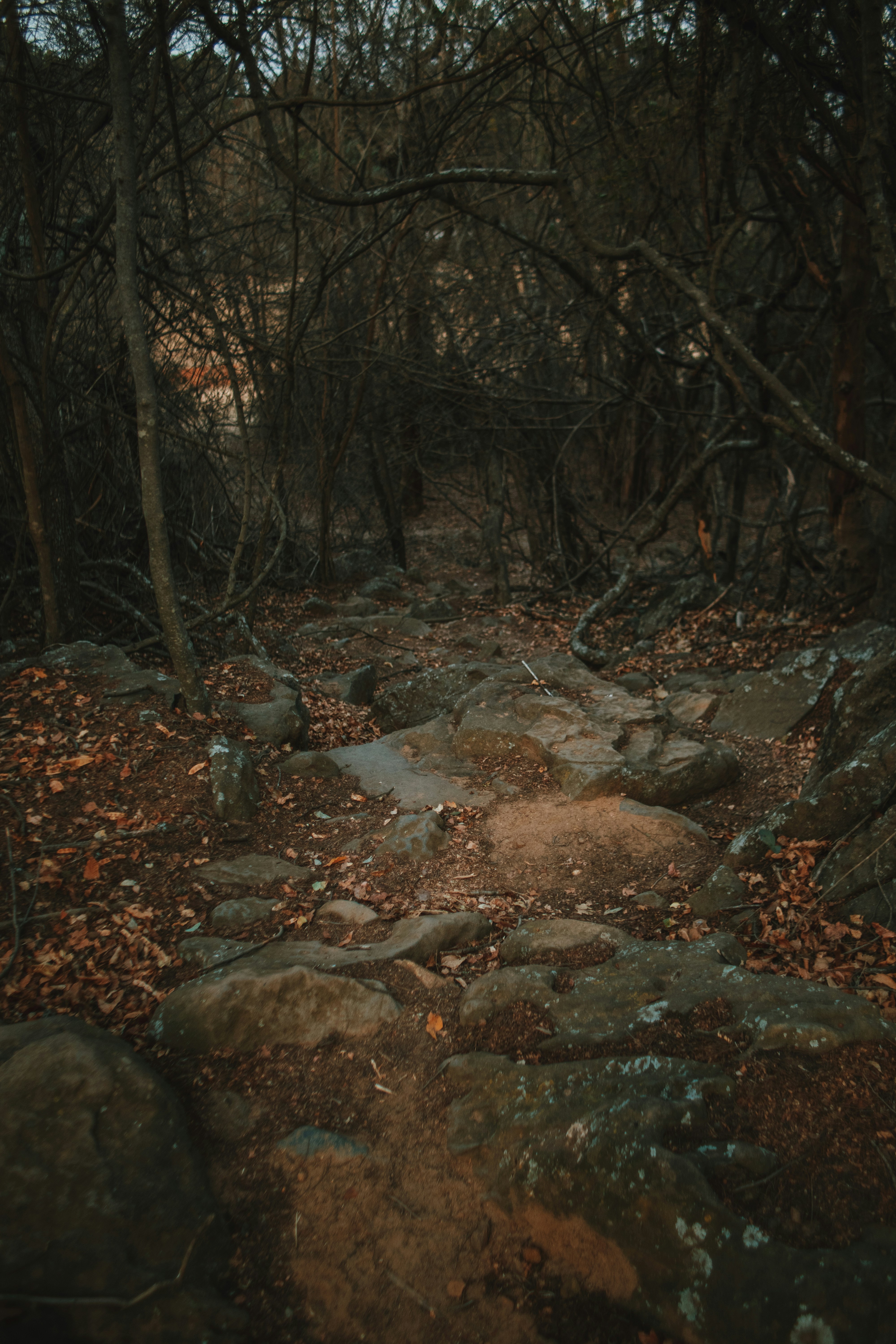 Photo by michaeljfali