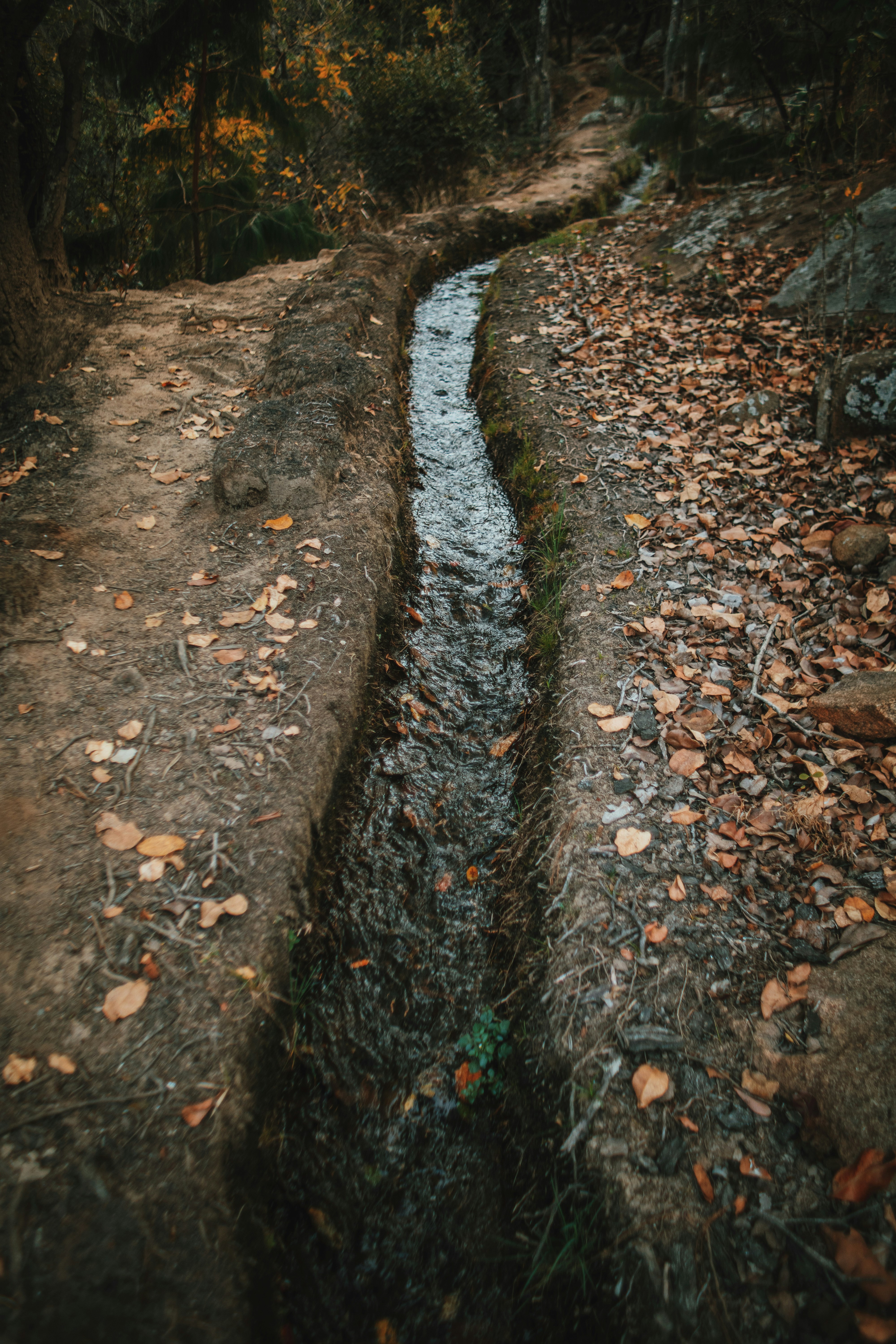 Photo by michaeljfali