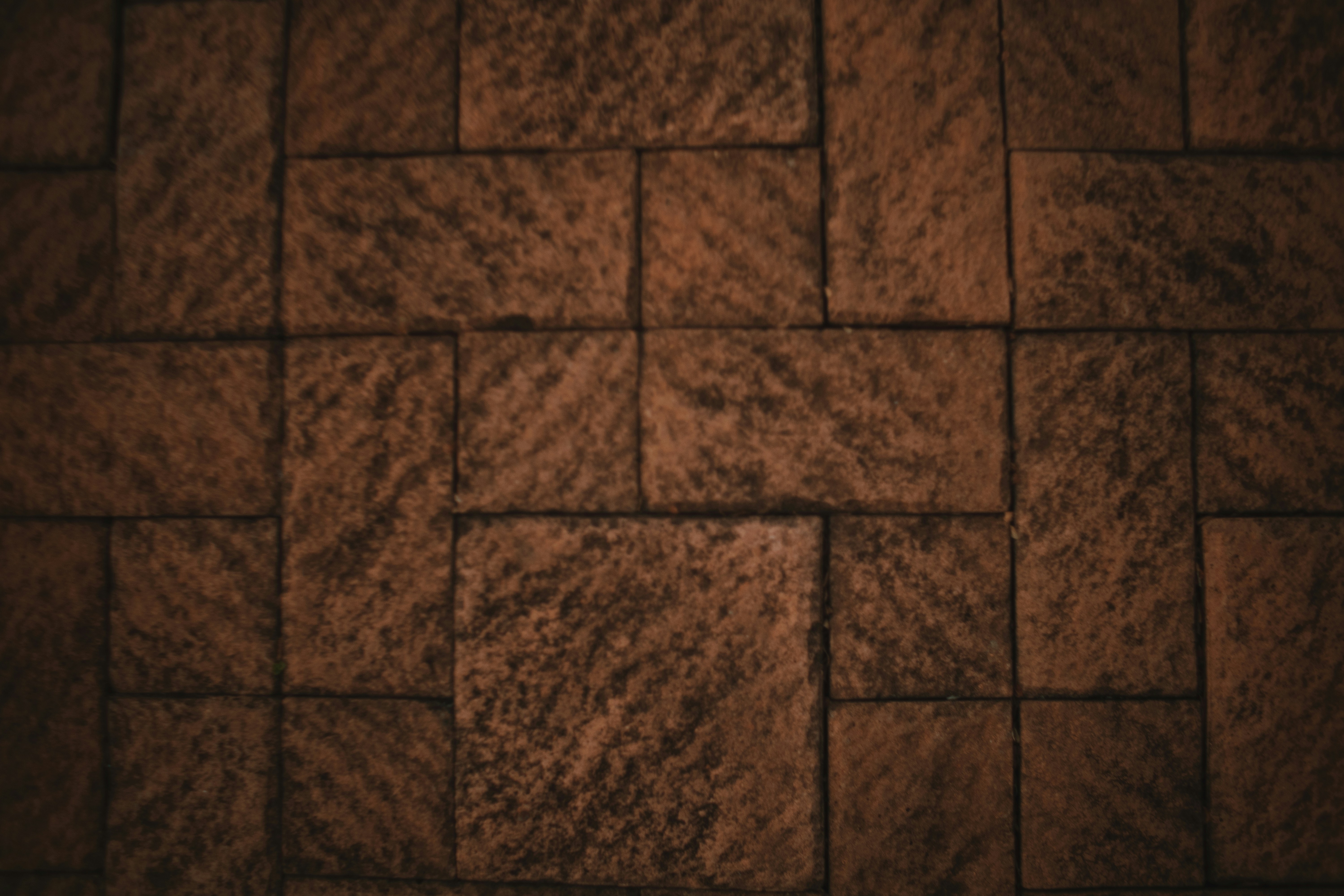 Photo by michaeljfali