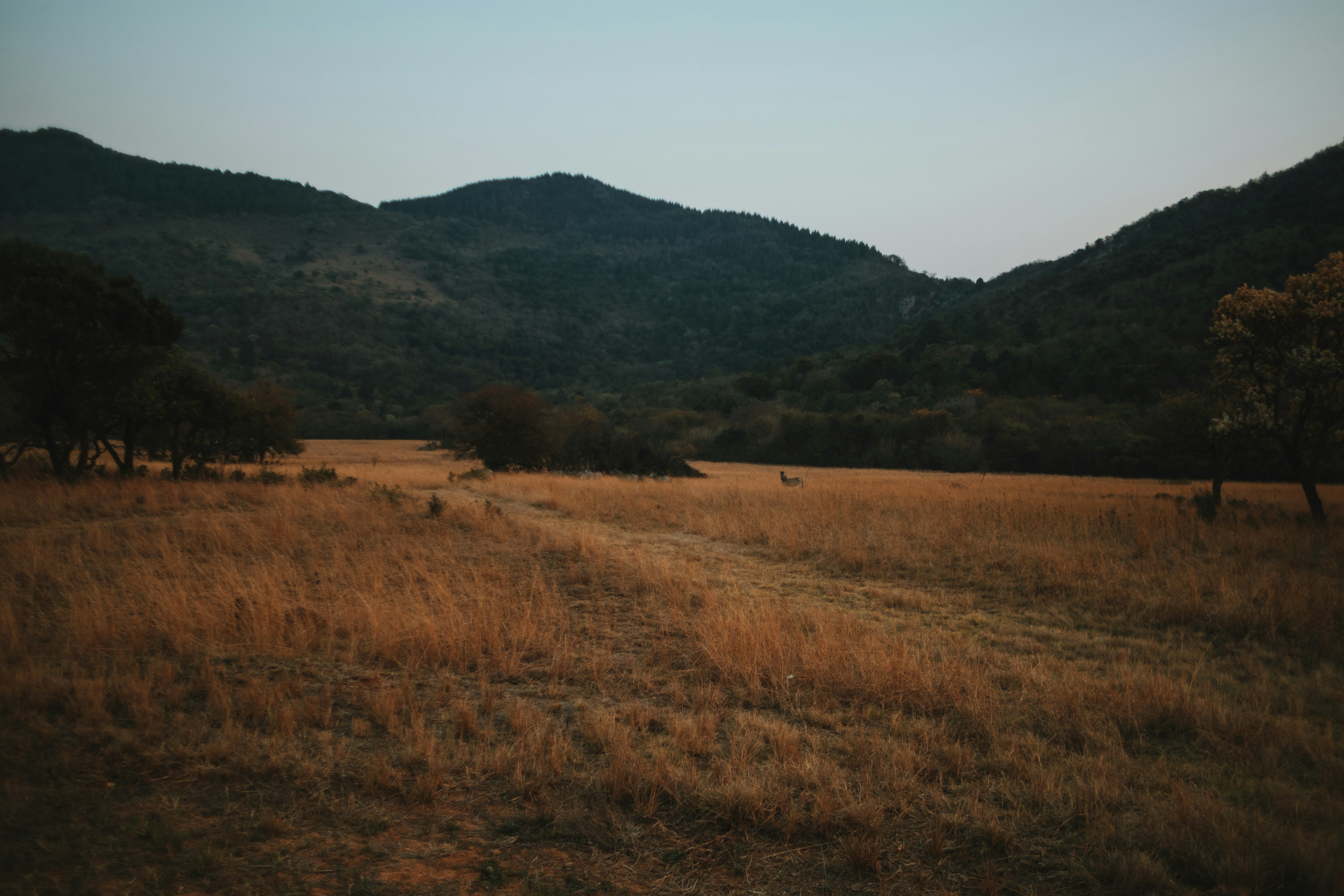 Photo by michaeljfali