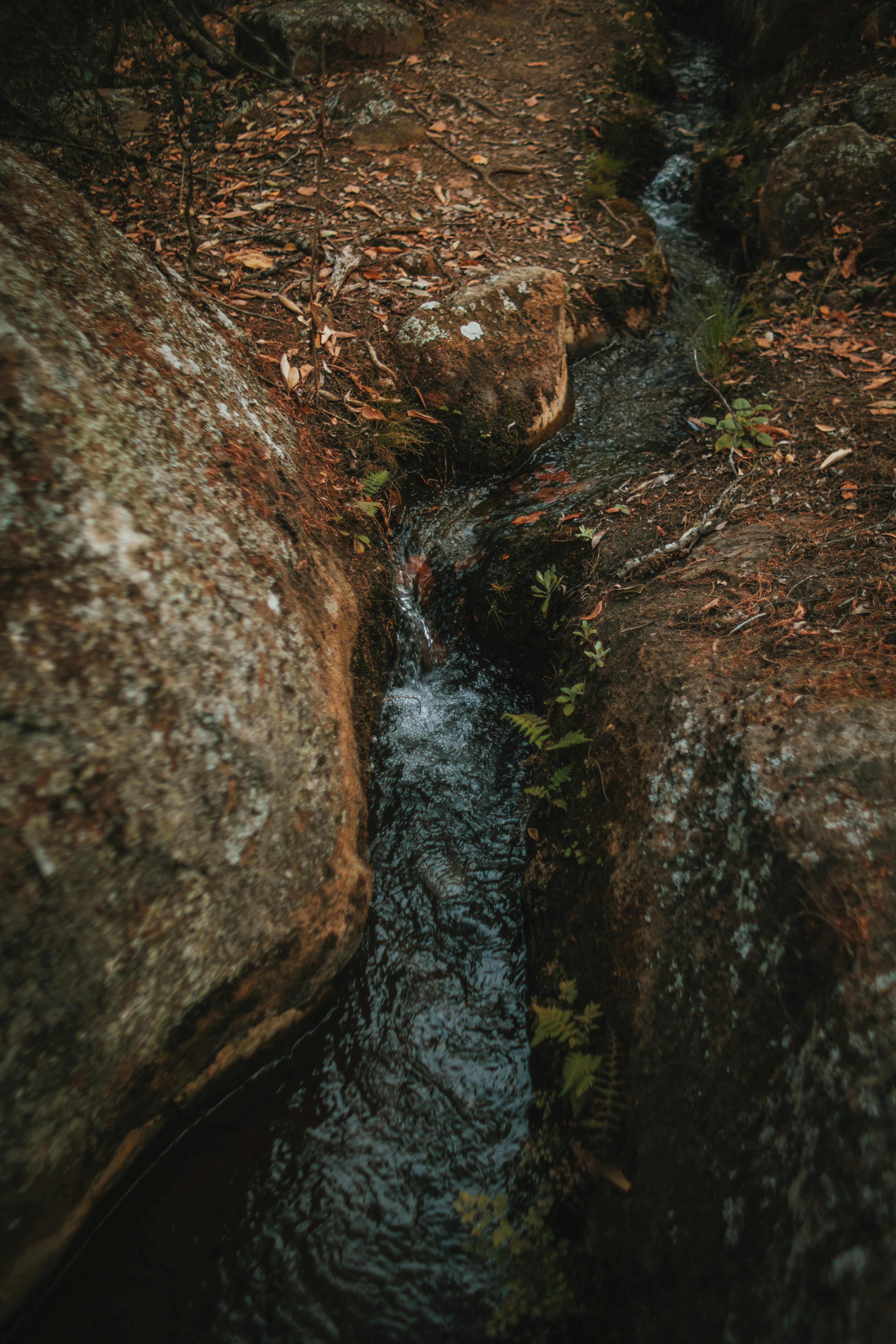 Photo by michaeljfali