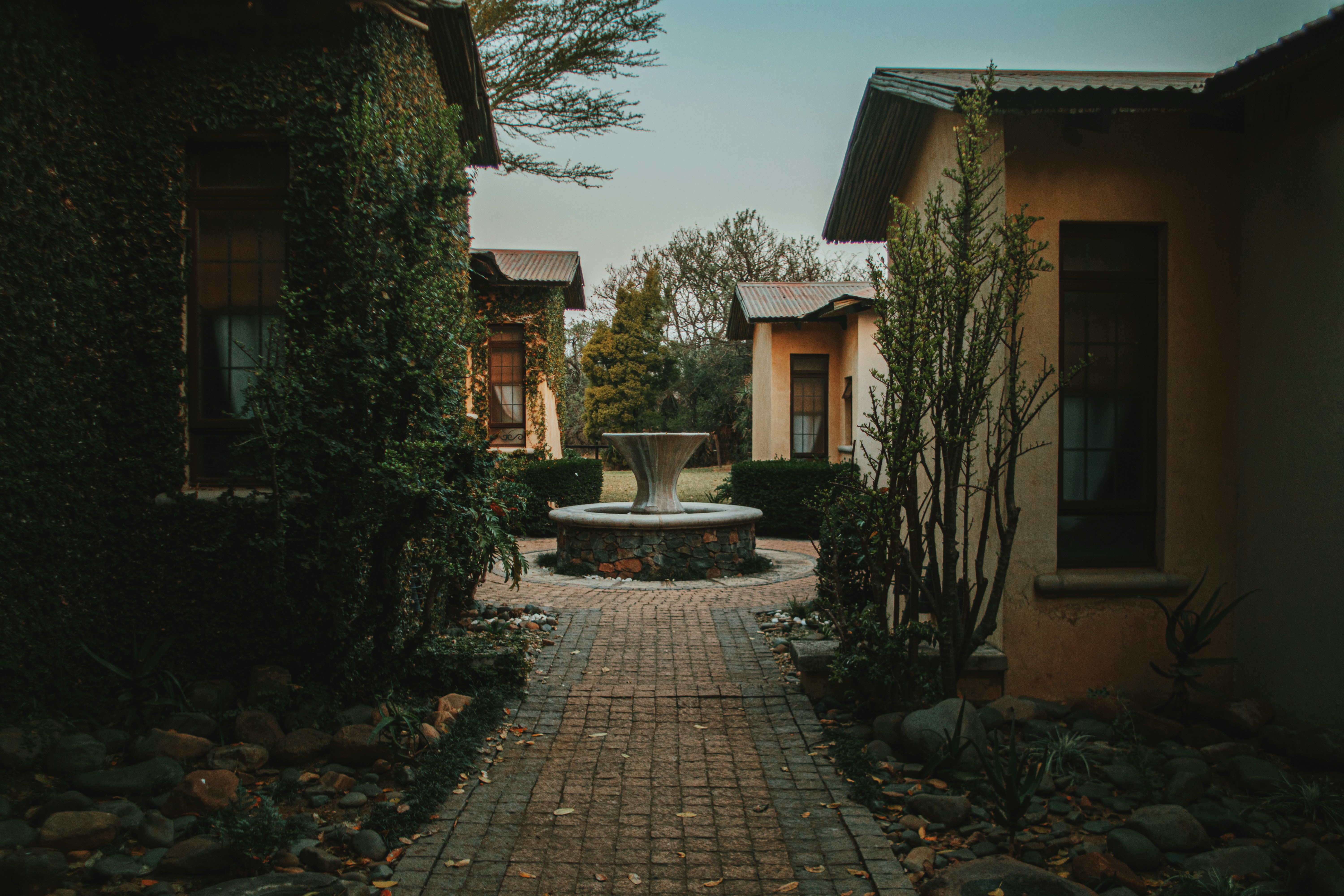 Photo by michaeljfali