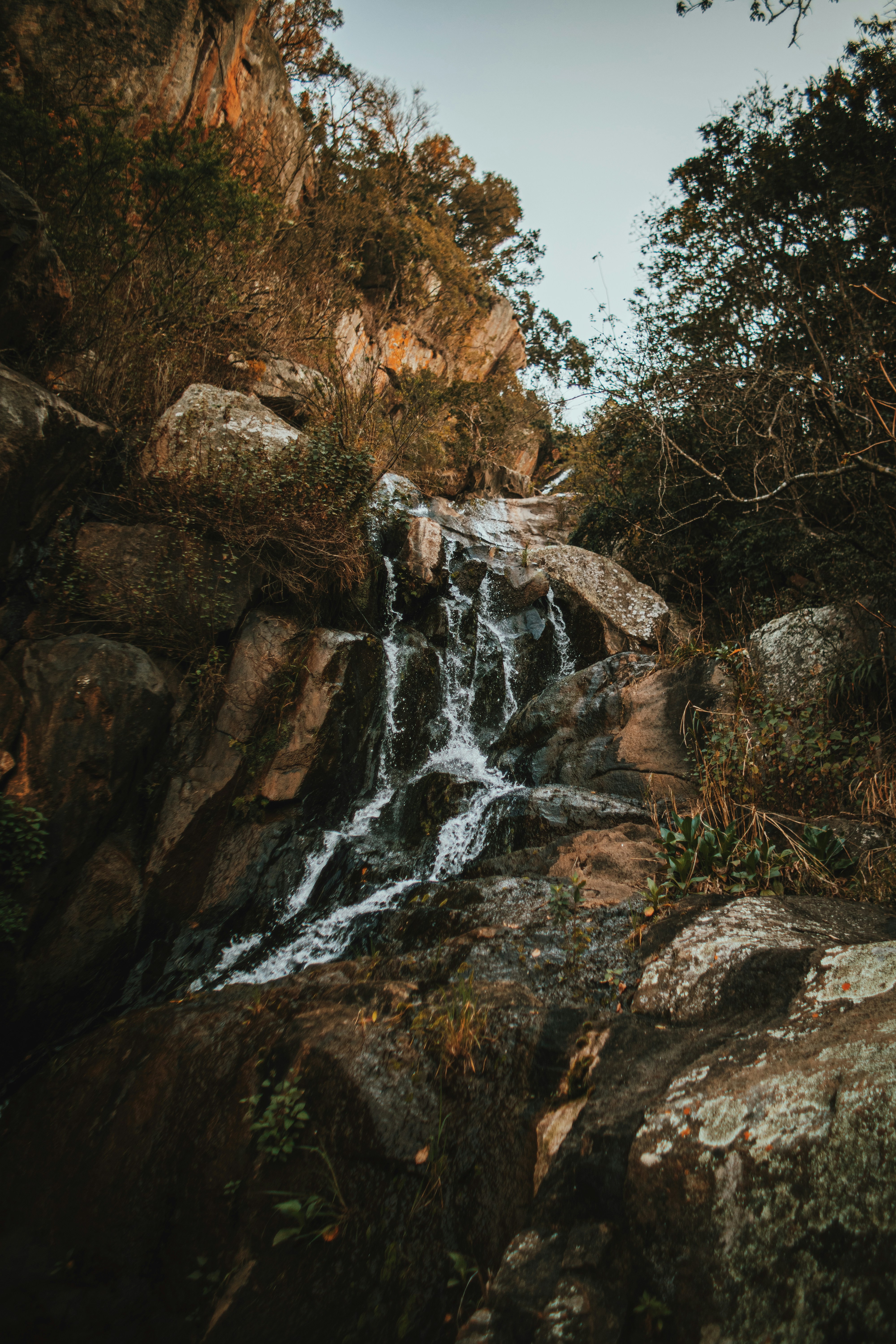 Photo by michaeljfali