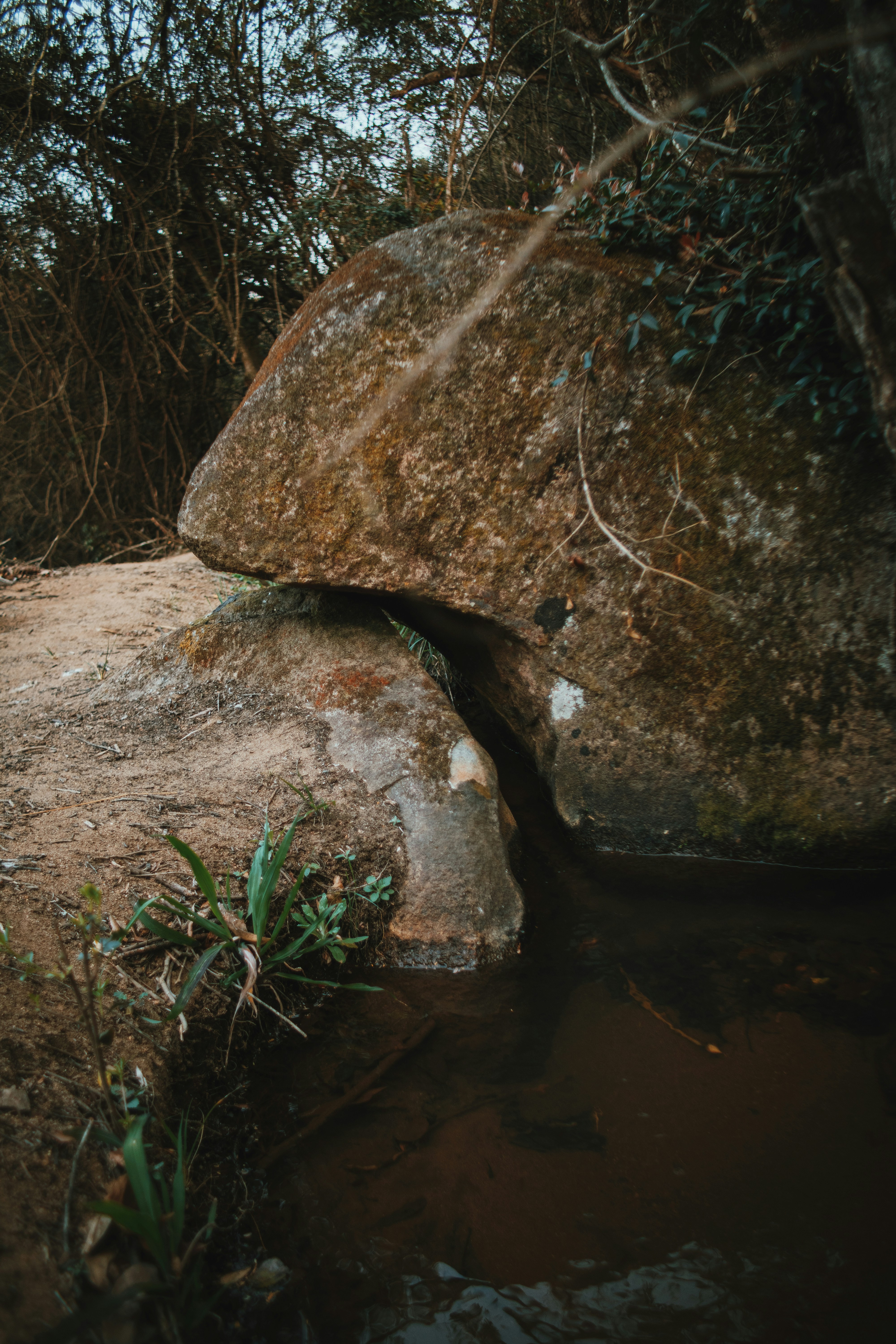 Photo by michaeljfali