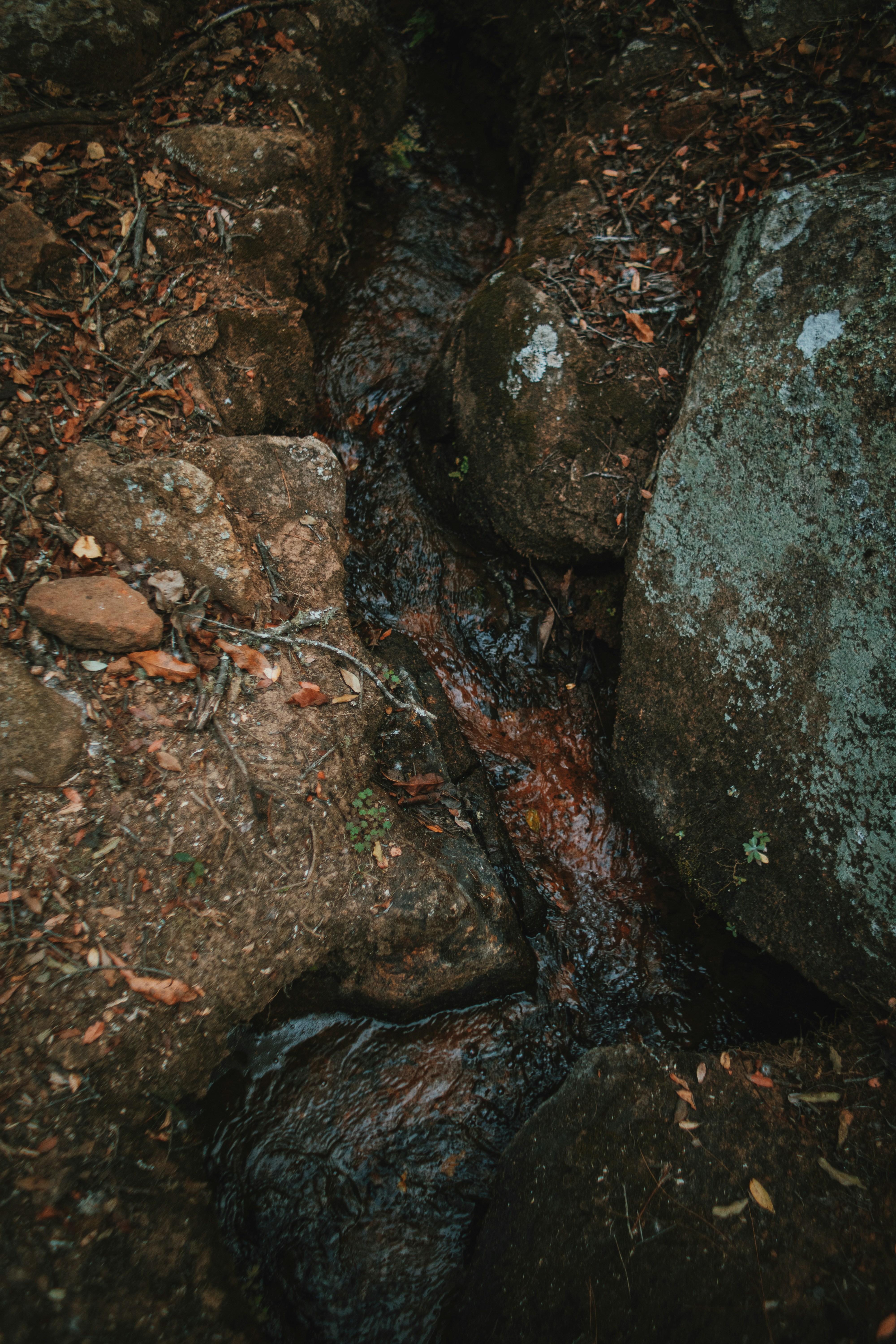 Photo by michaeljfali