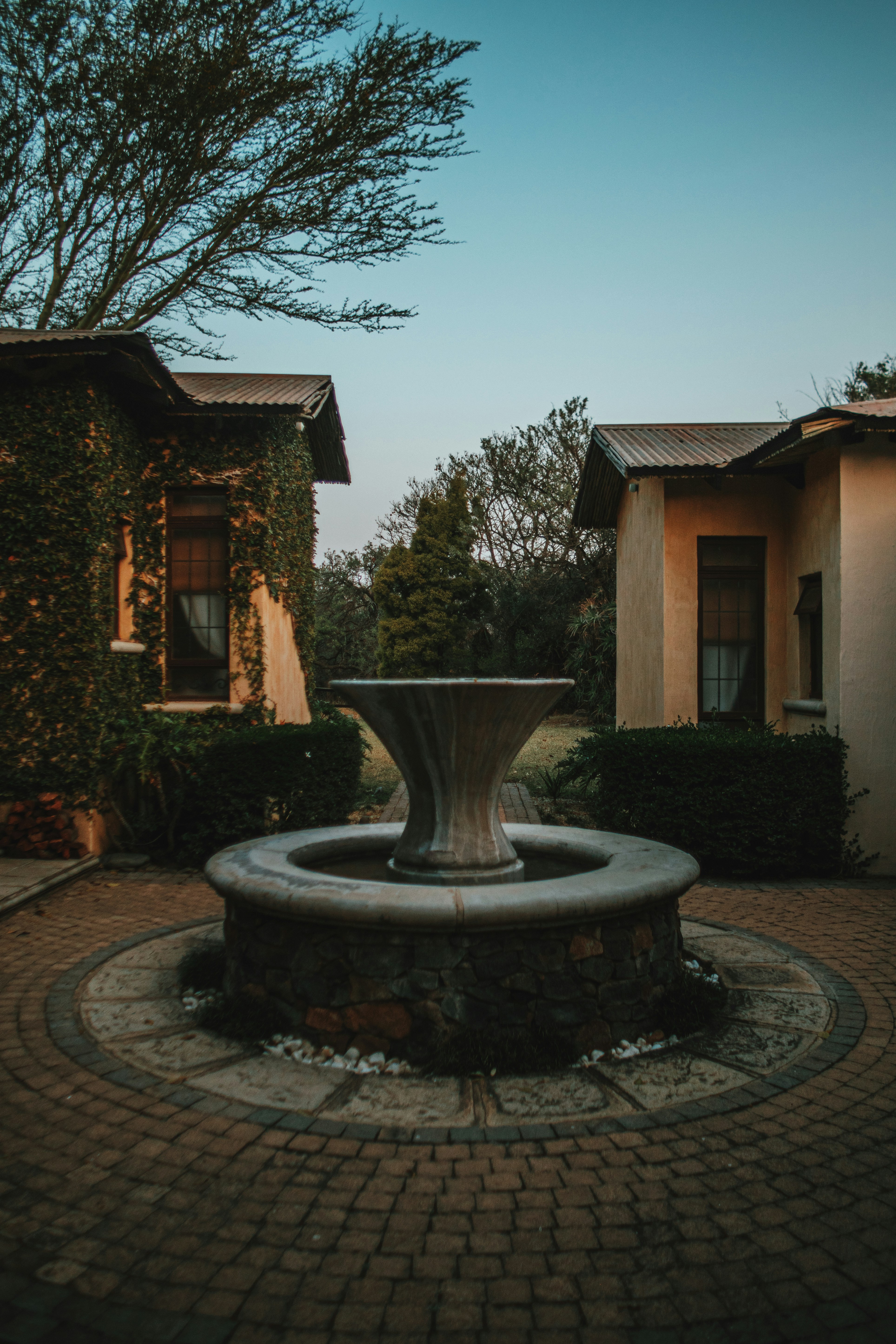 Photo by michaeljfali