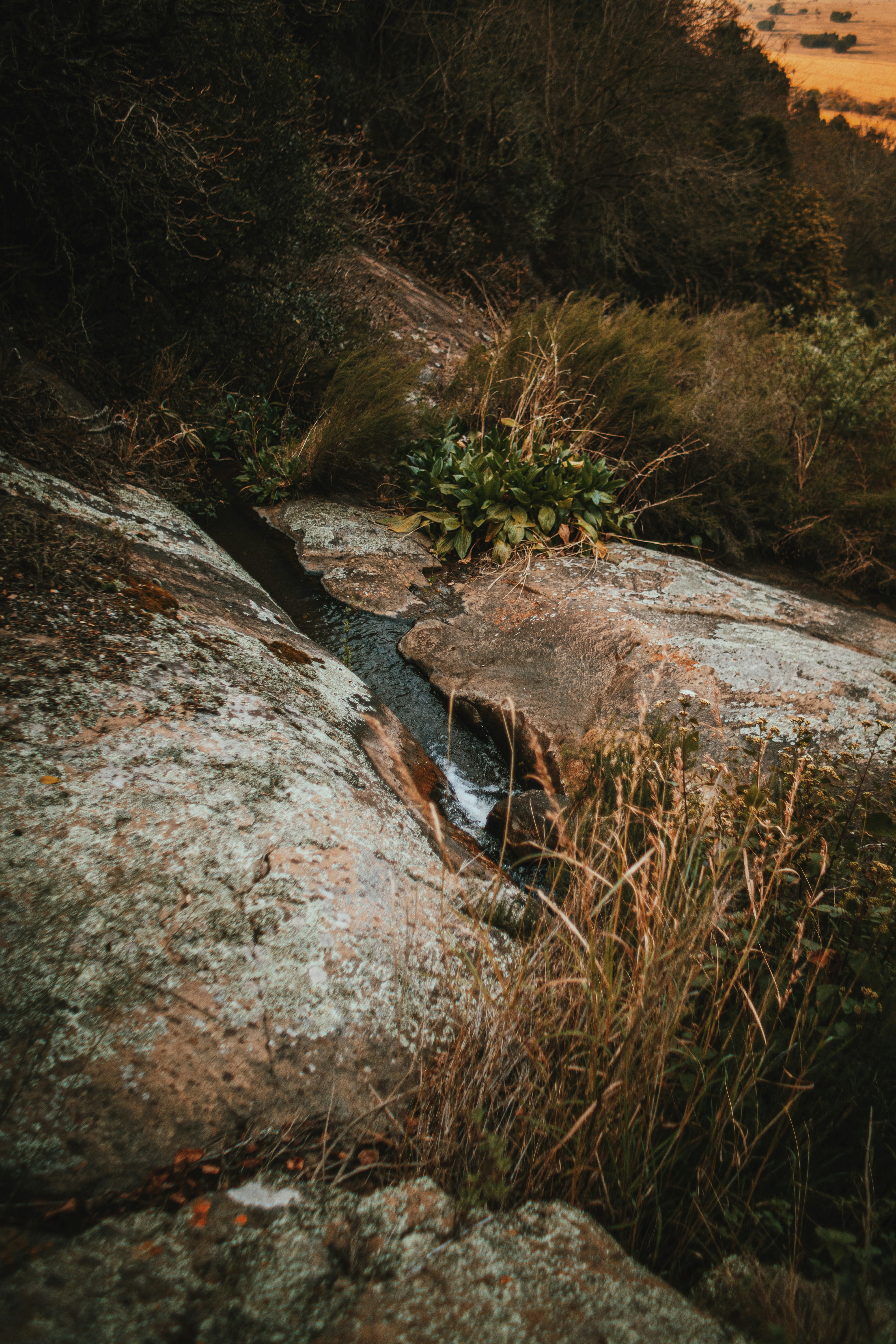 Photo by michaeljfali