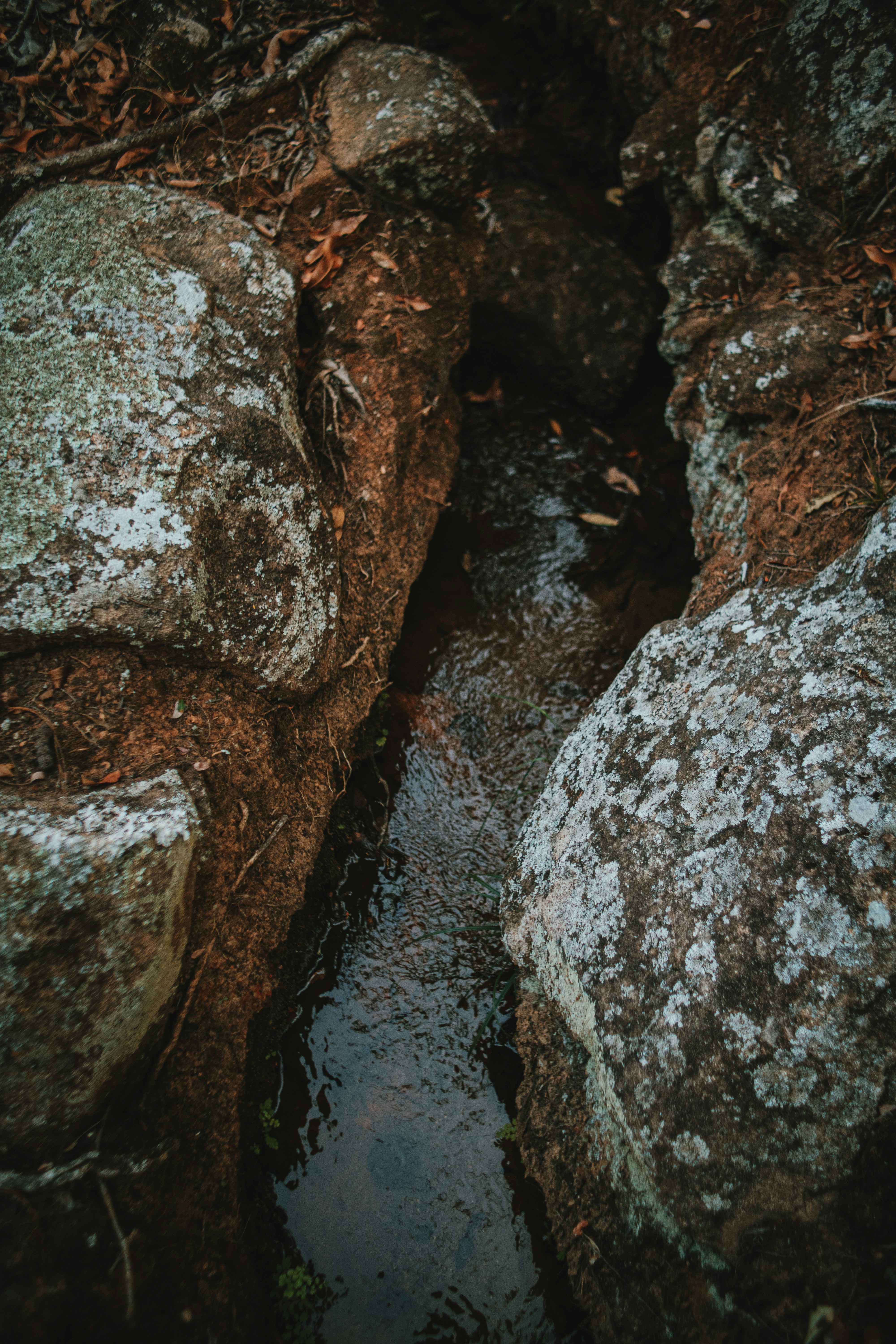 Photo by michaeljfali