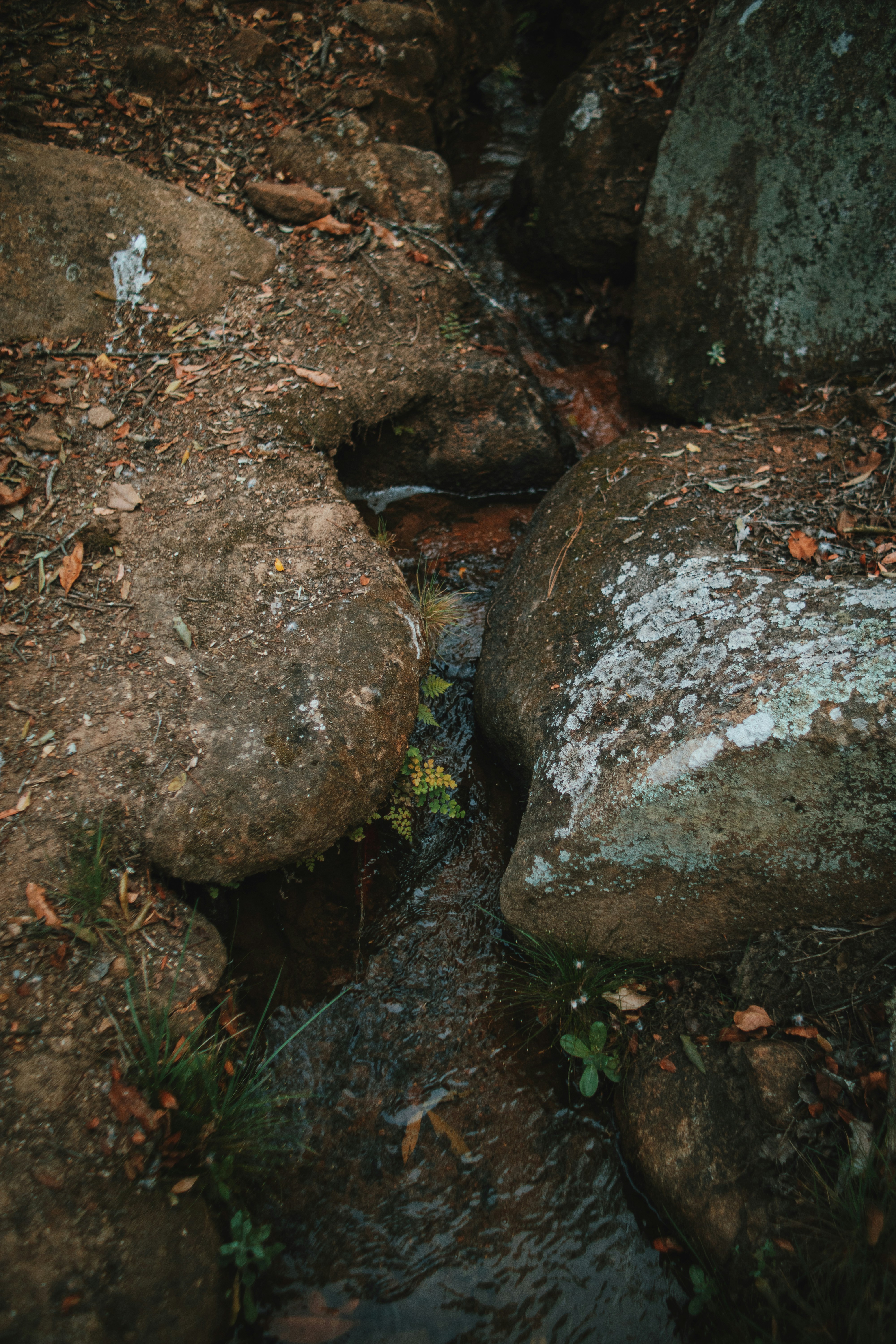 Photo by michaeljfali