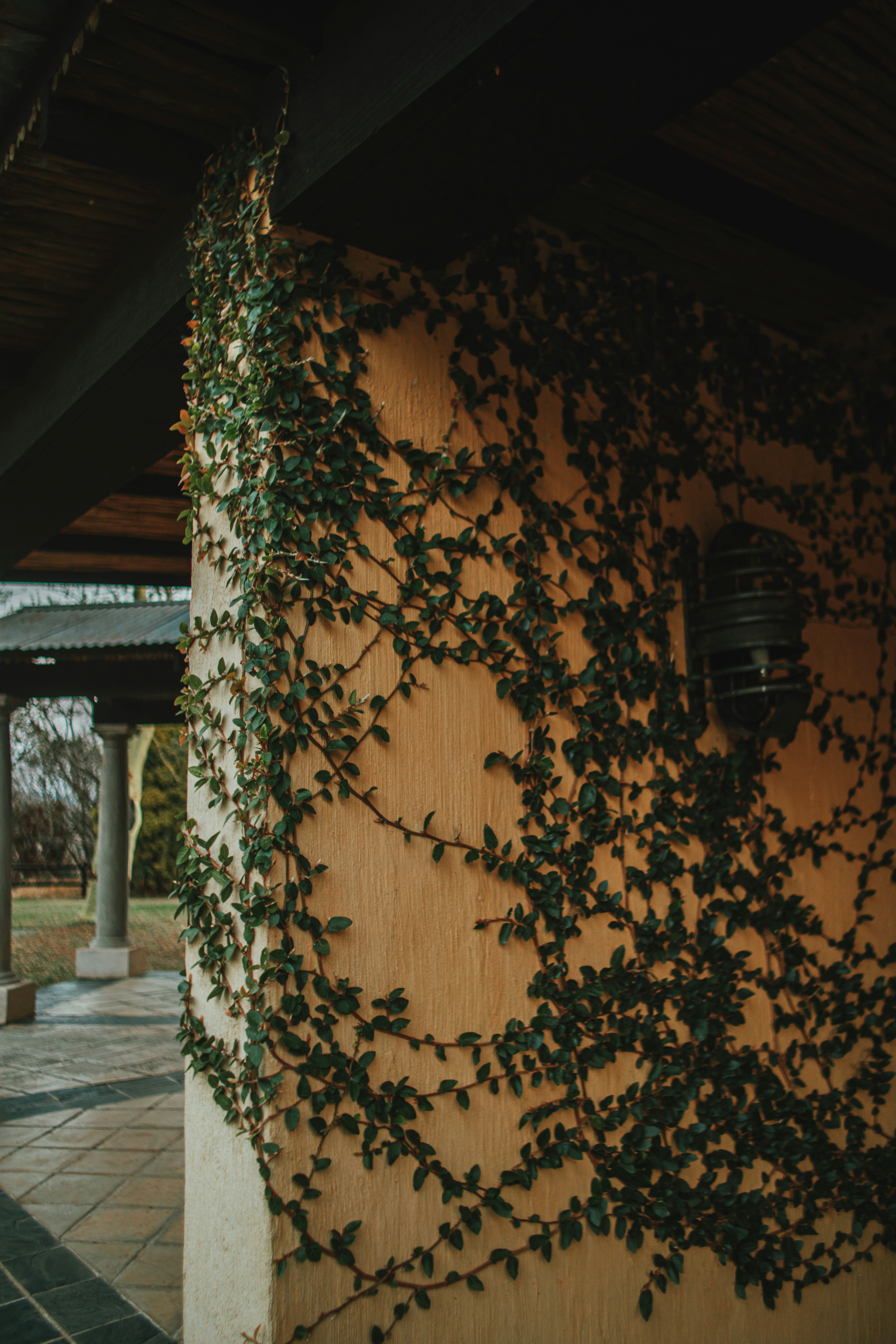 Photo by michaeljfali