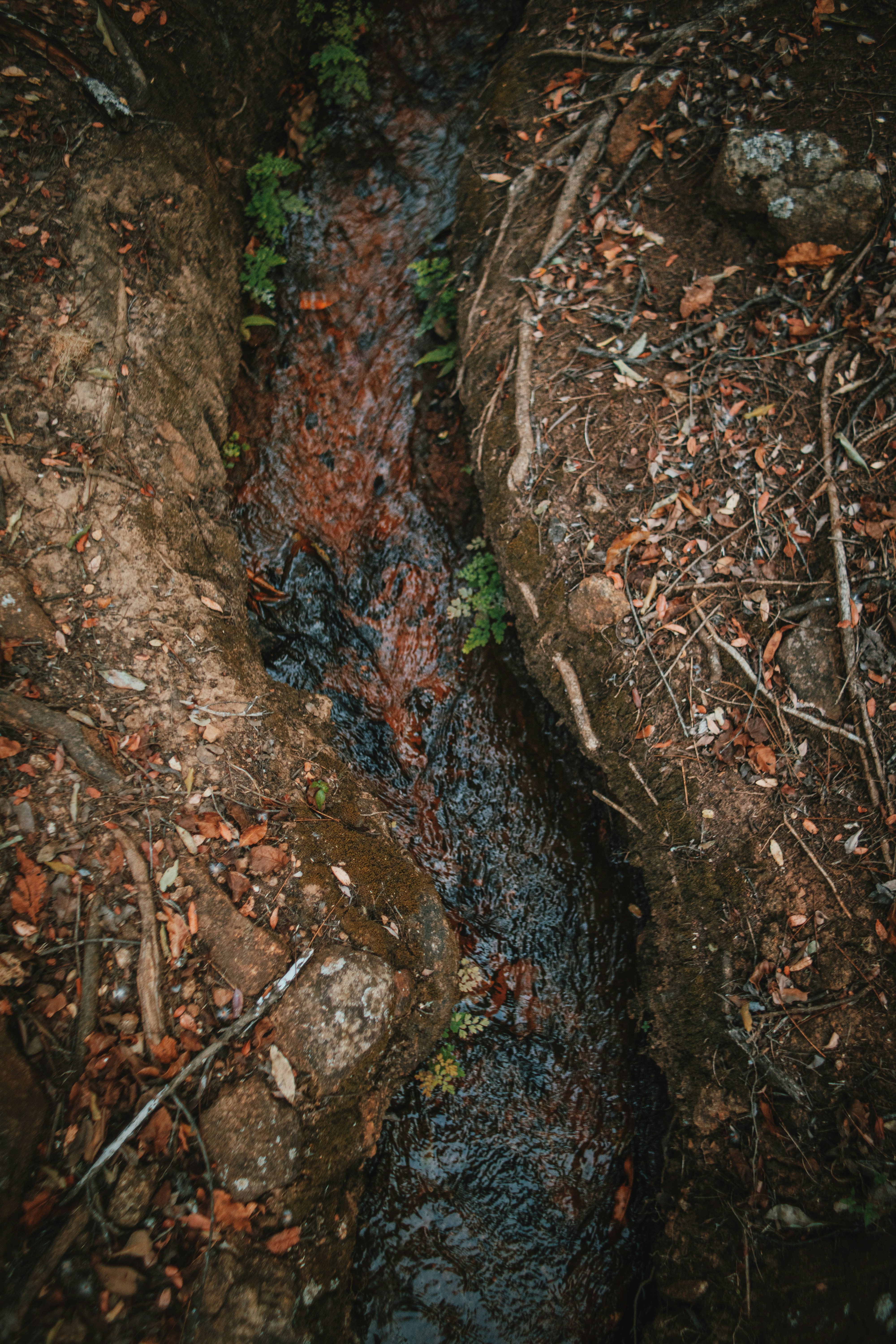 Photo by michaeljfali