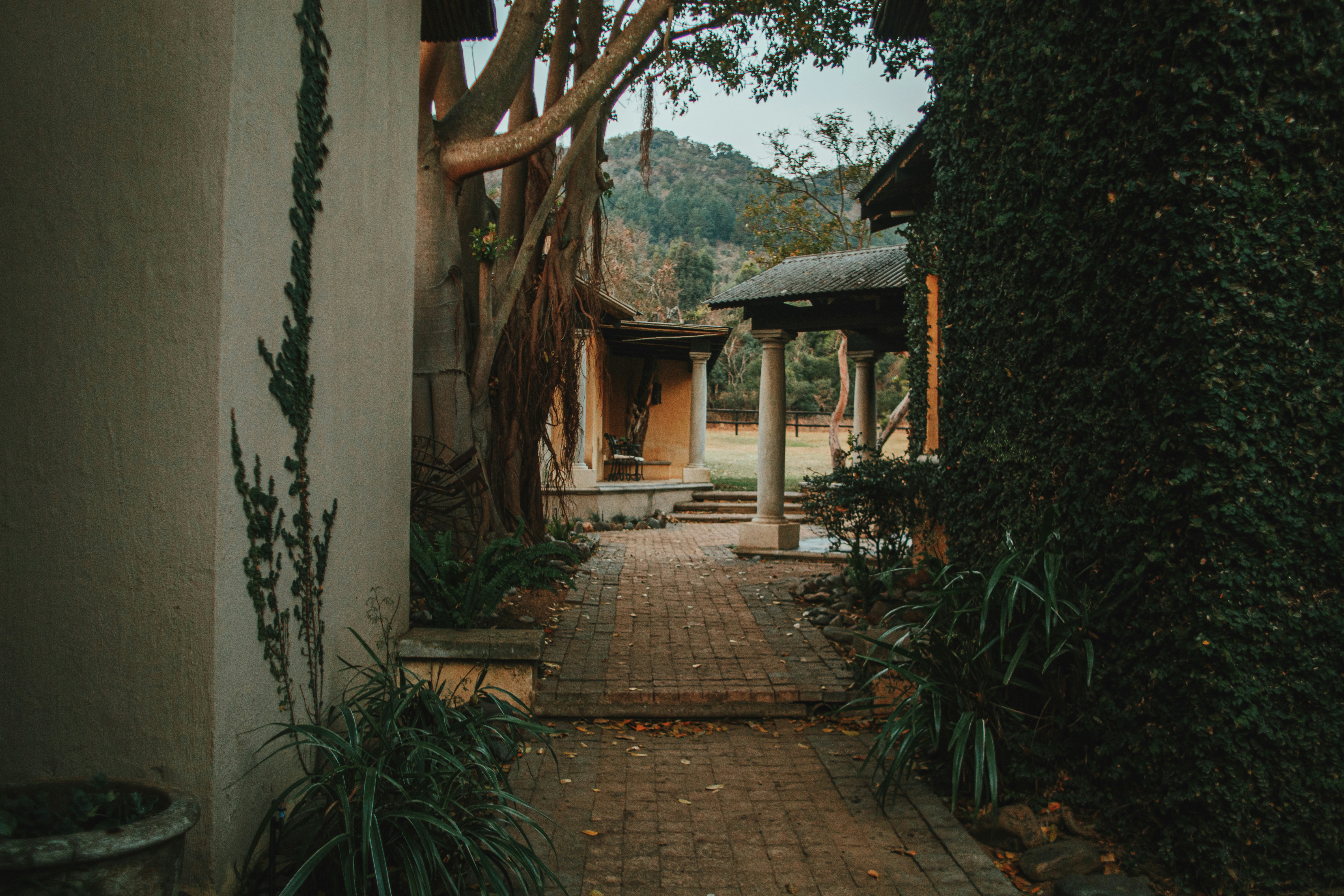 Photo by michaeljfali