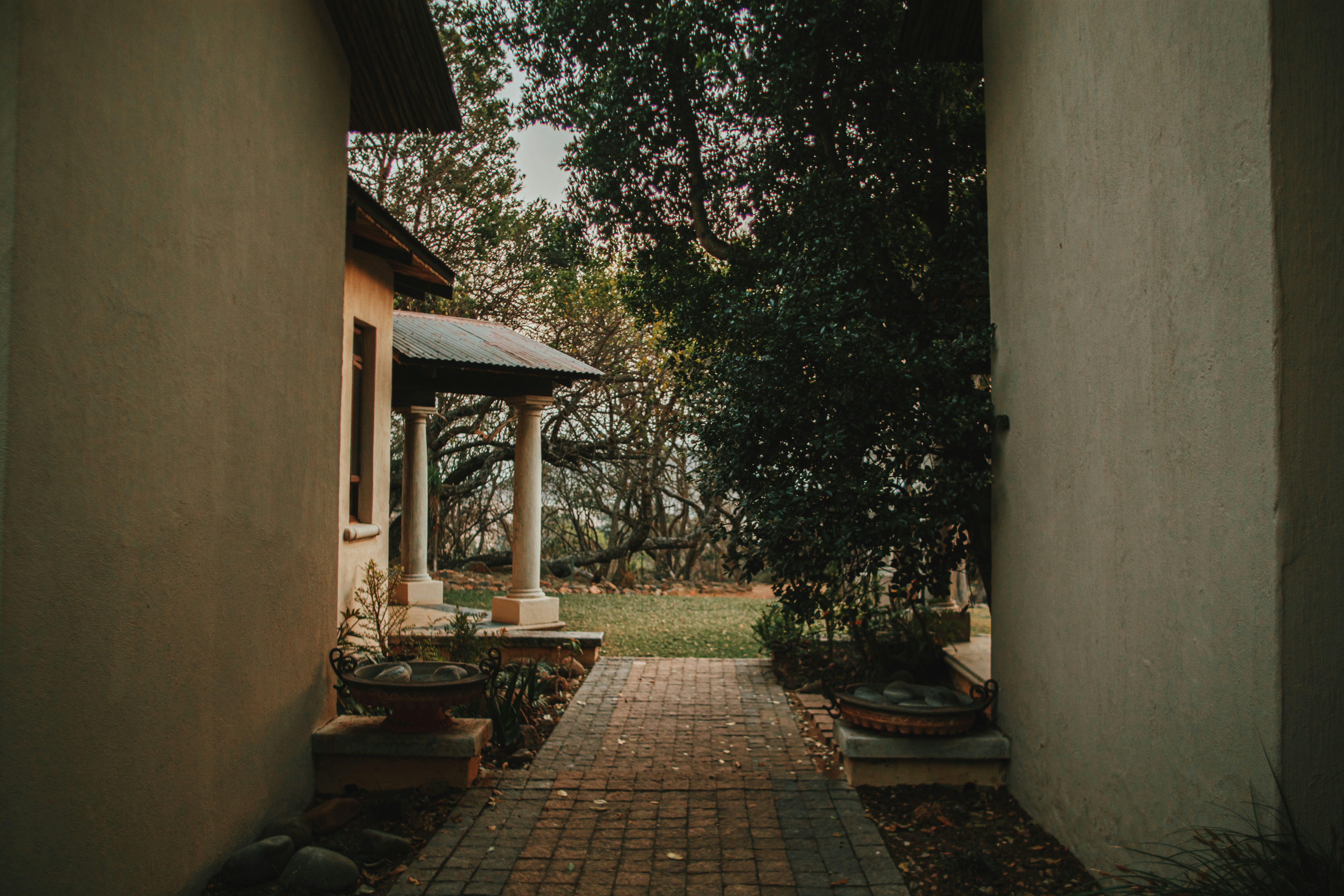 Photo by michaeljfali