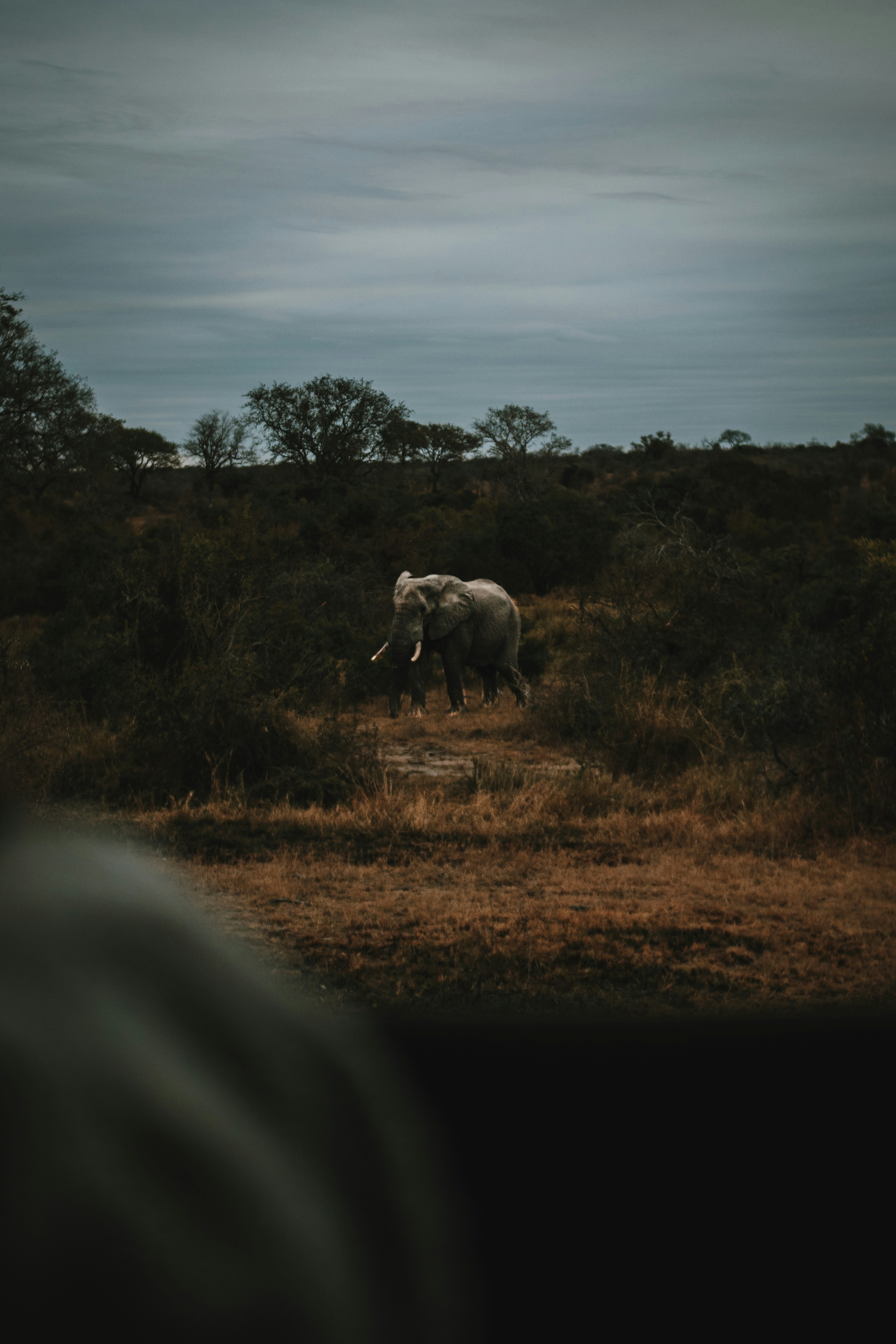 KwaZulu-Natal: Zulu Heritage and Drakensberg Peaks