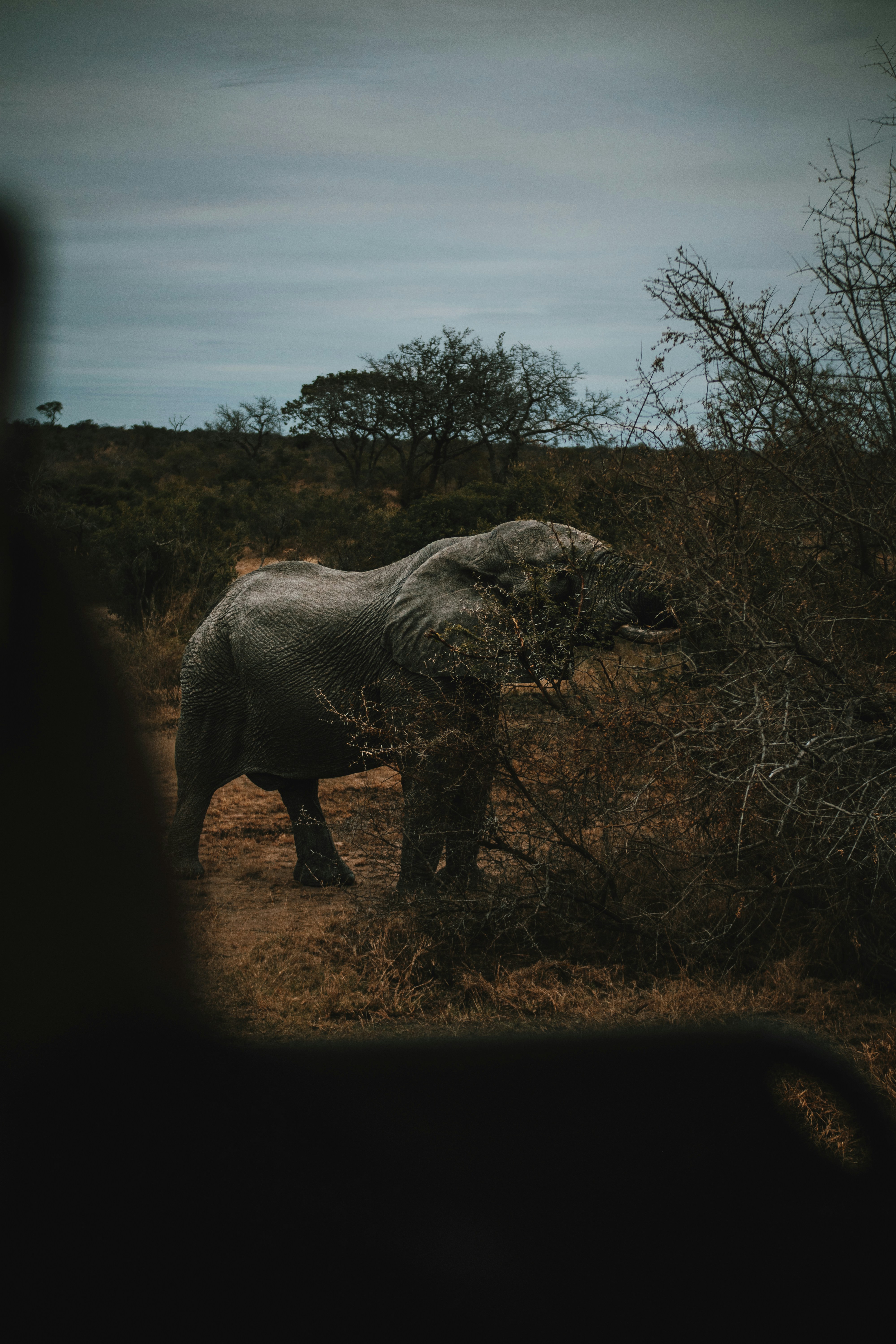 Photo by michaeljfali