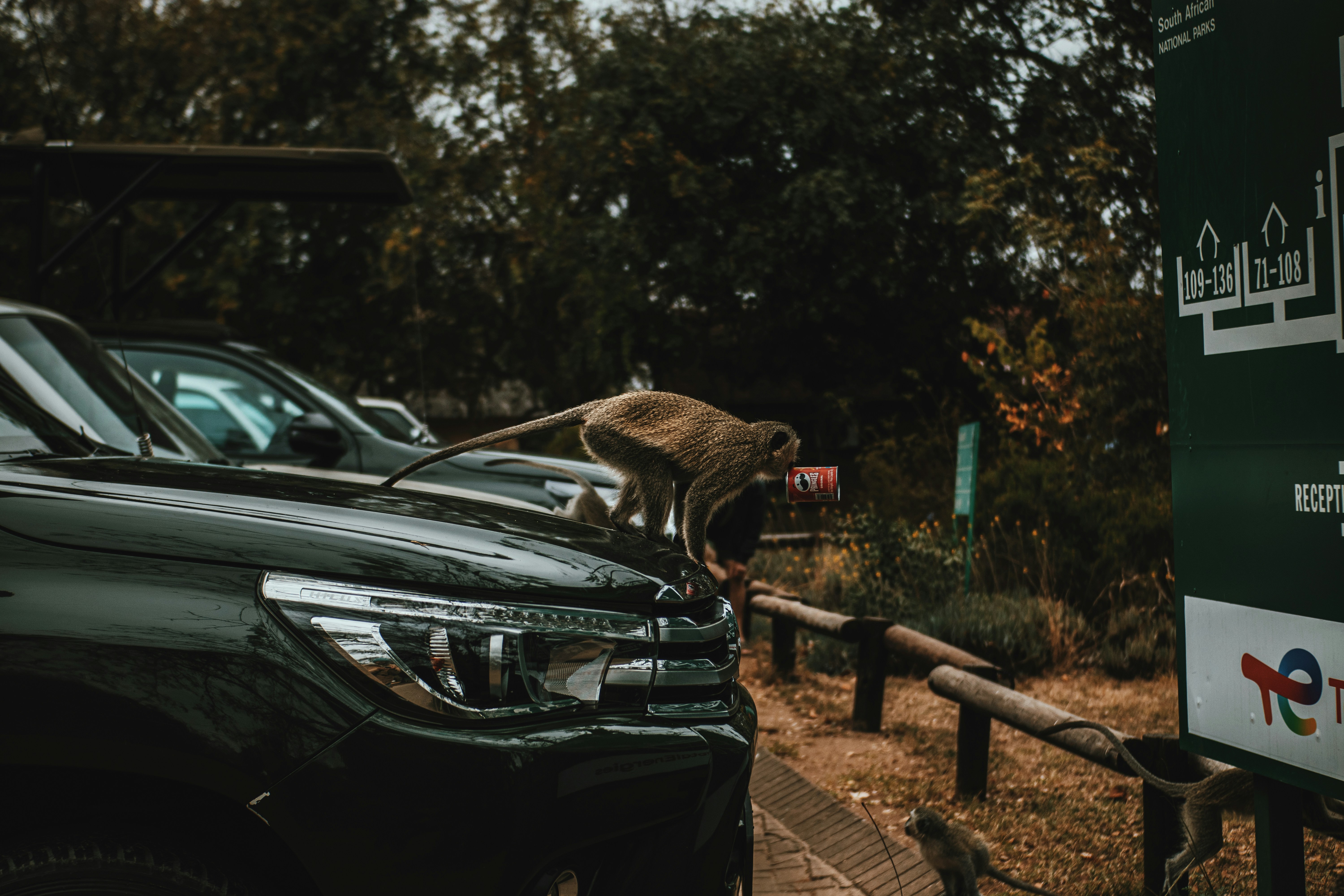 Photo by michaeljfali