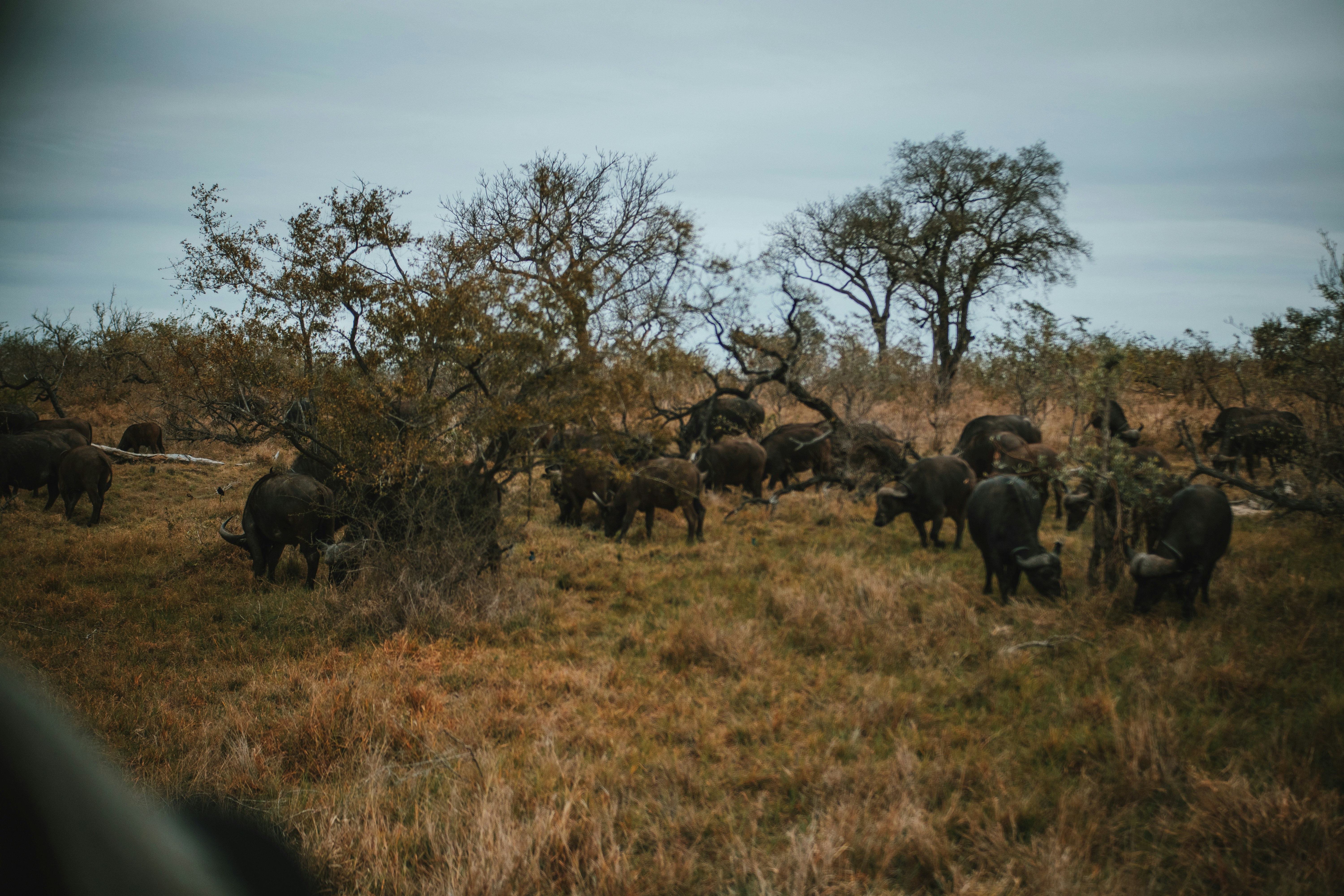 Photo by michaeljfali