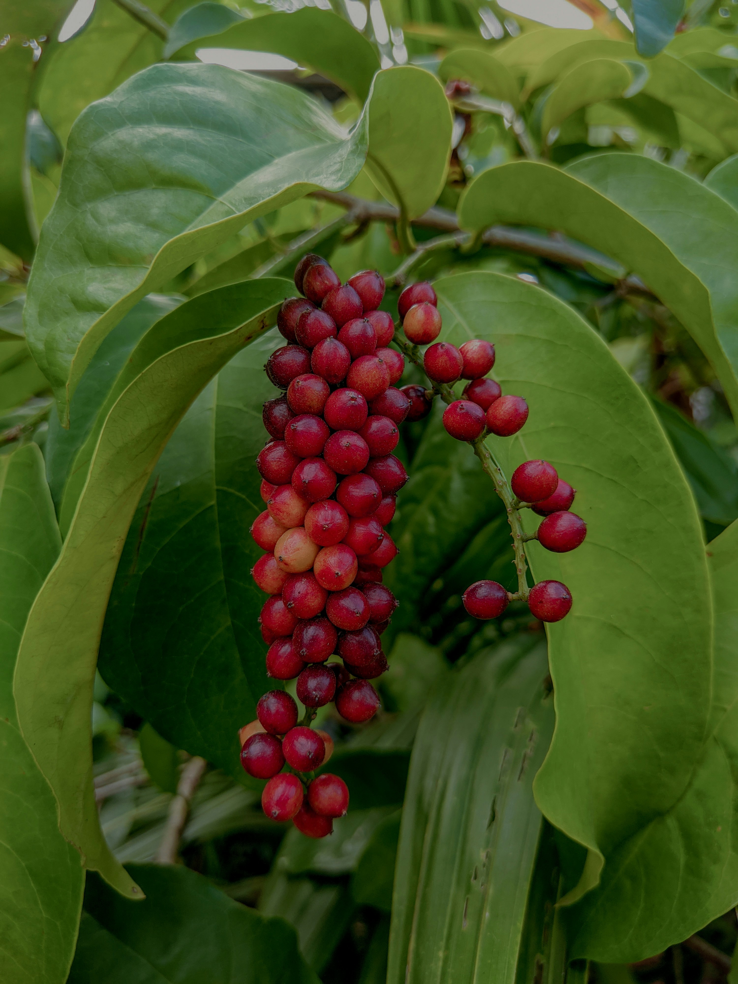 Photo by crea_tenew7