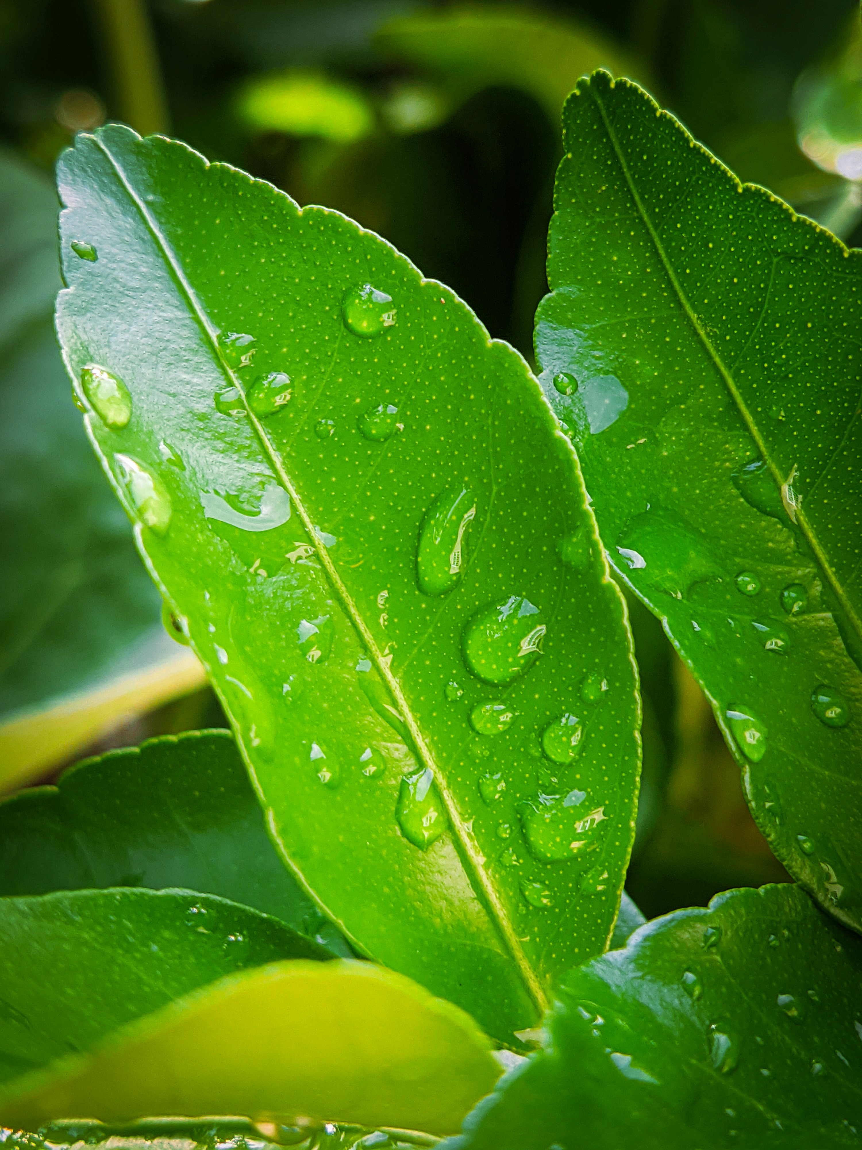 Photo by crea_tenew7