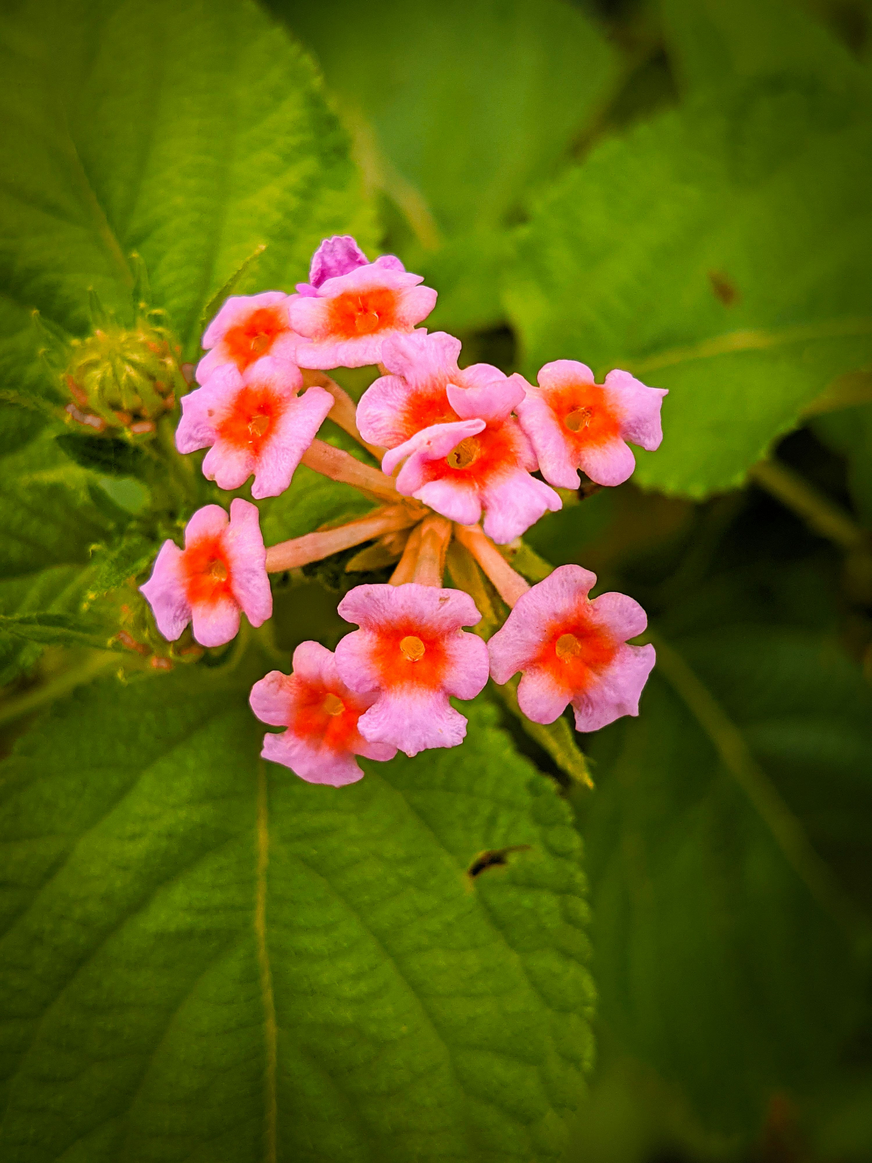 Photo by crea_tenew7