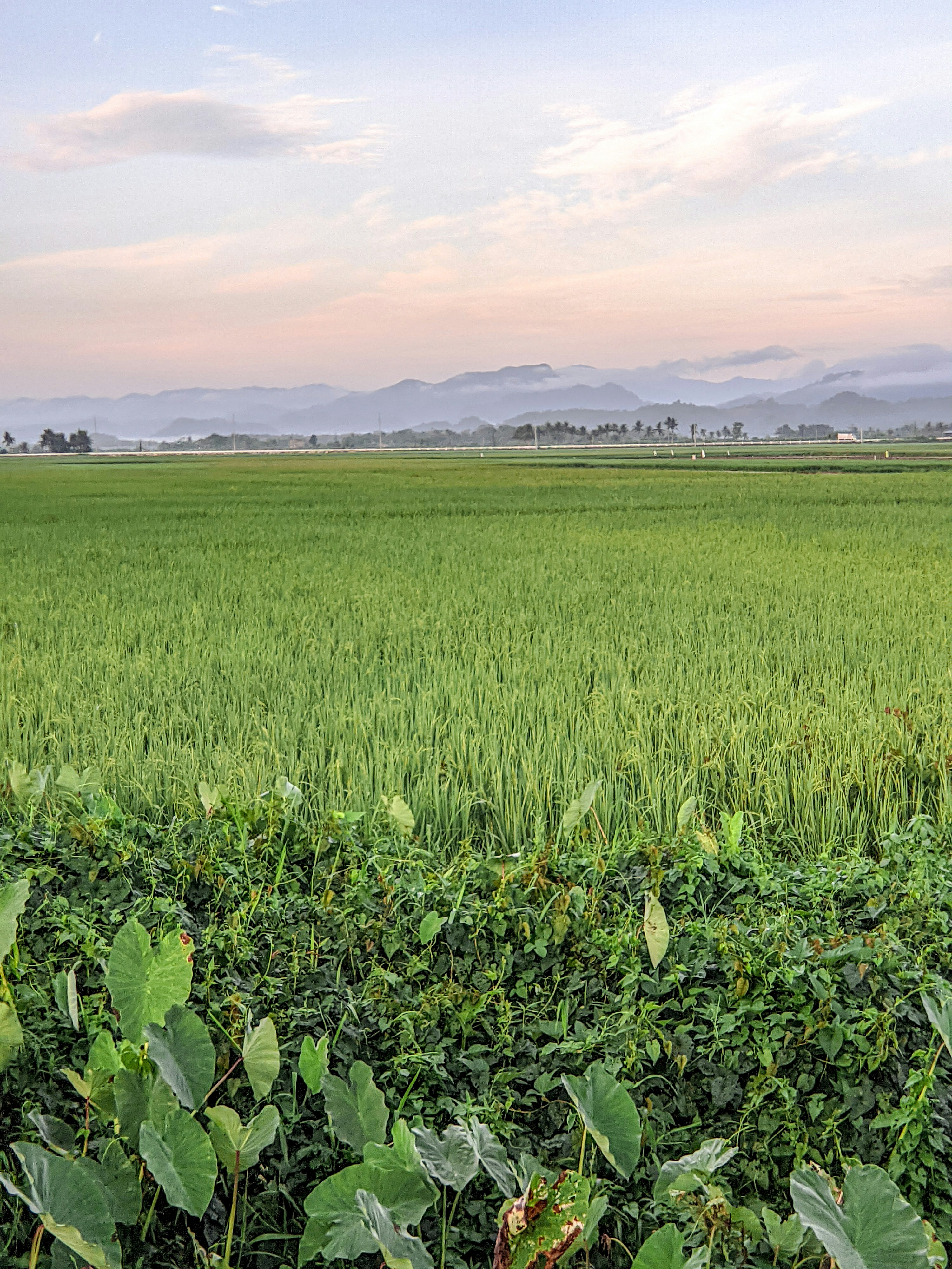 Photo by crea_tenew7