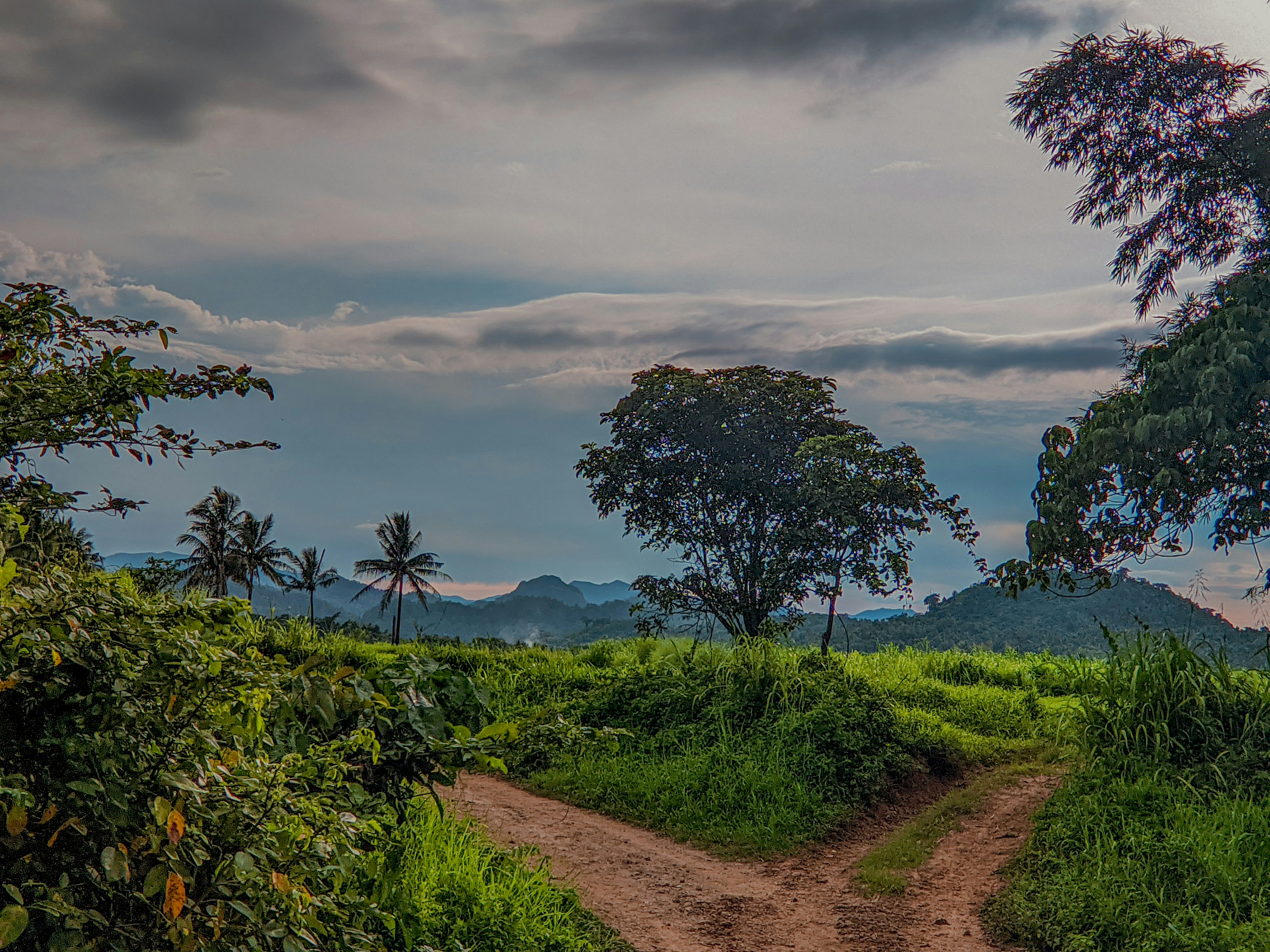 Photo by crea_tenew7