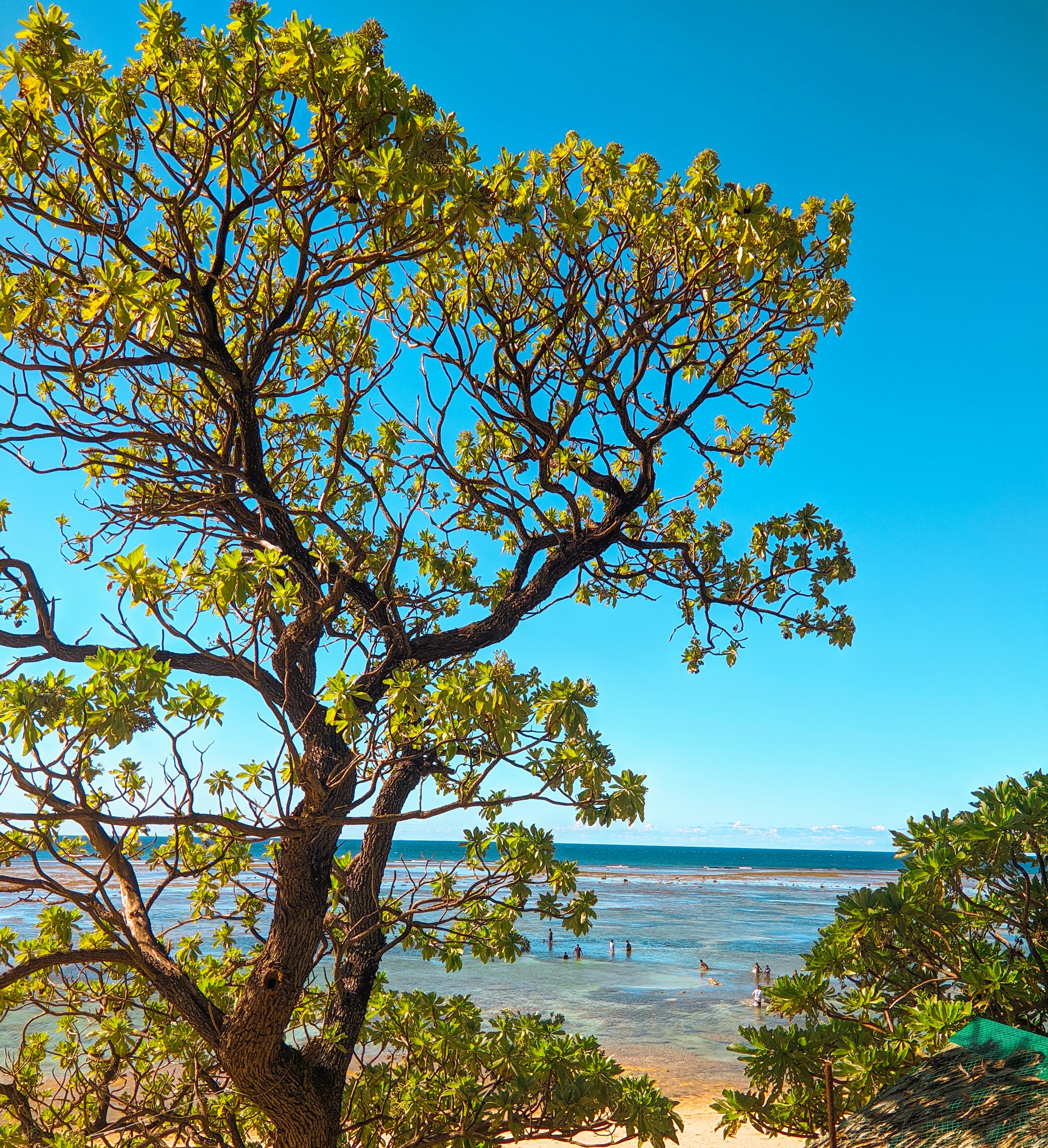 Photo by crea_tenew7