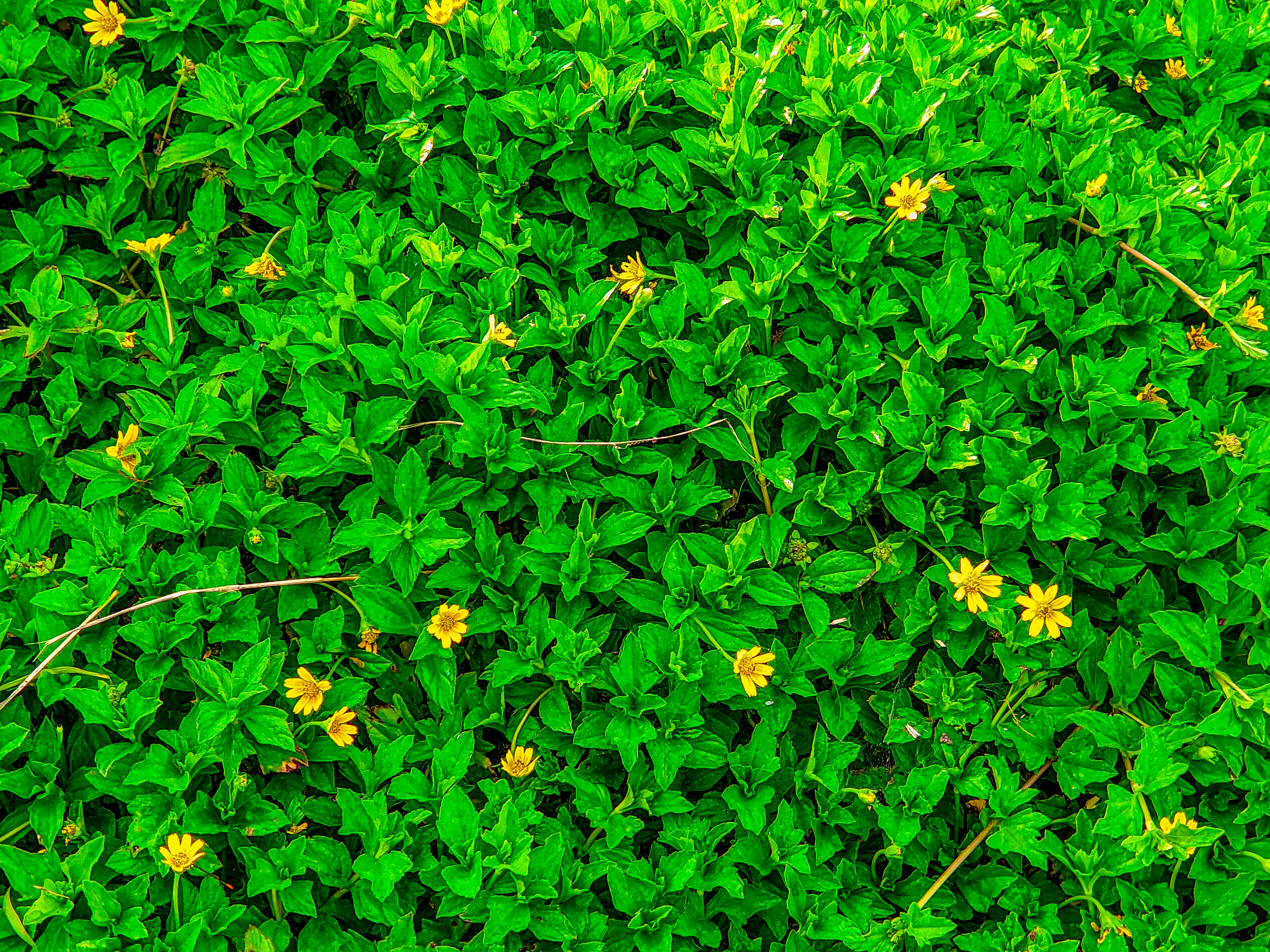 Photo by crea_tenew7