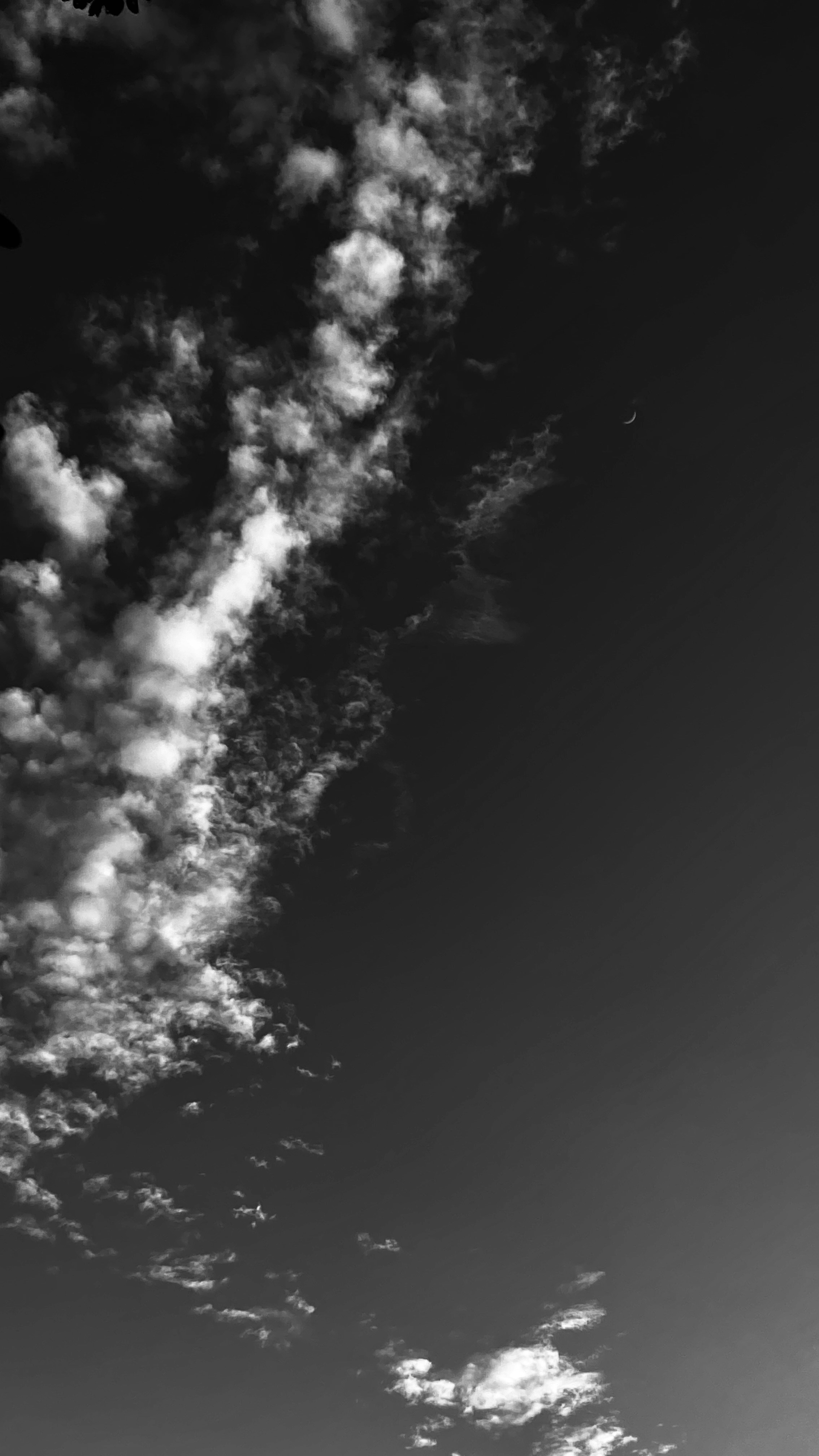 Photo by shivanis_rathi