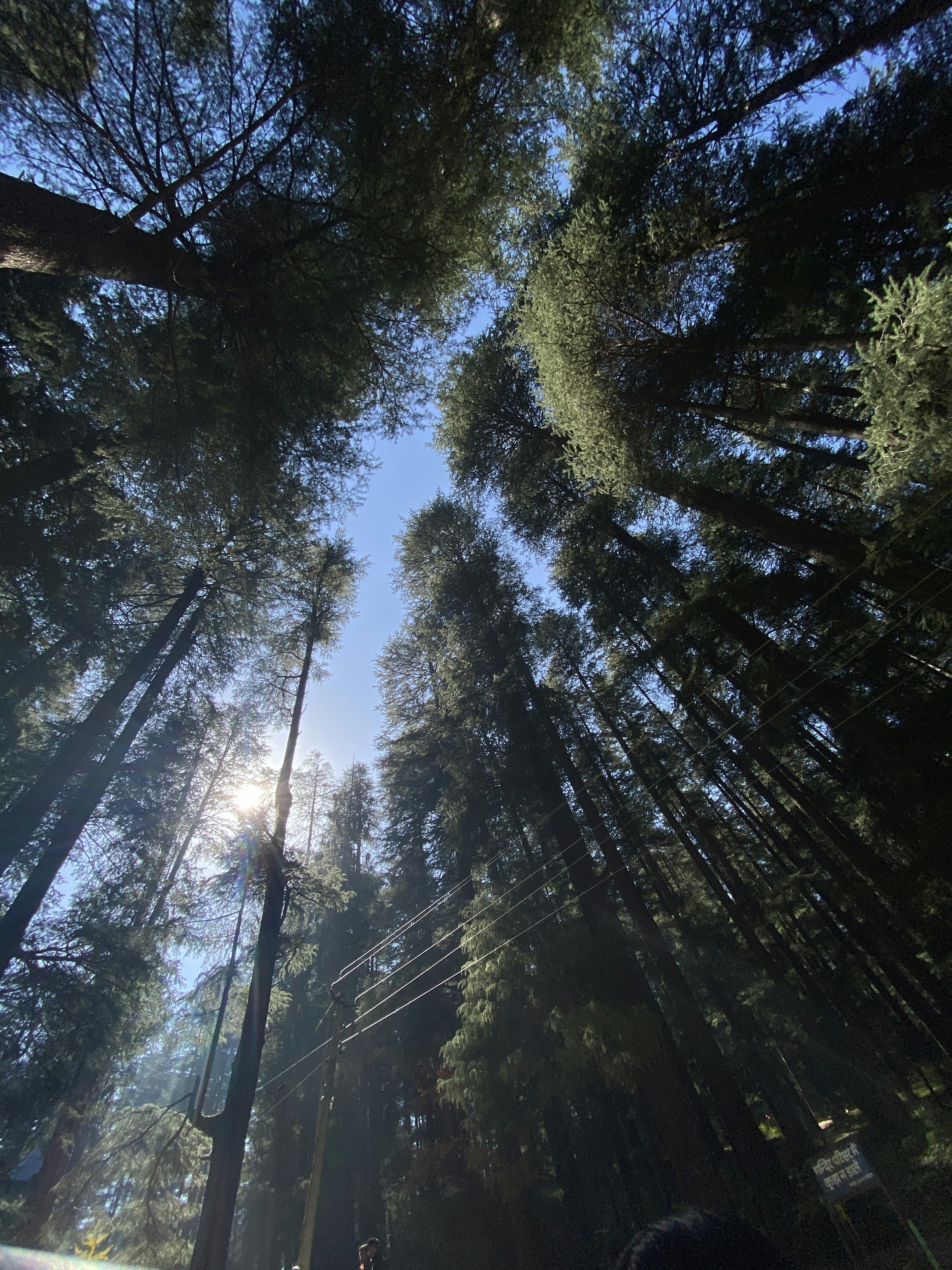 Photo by shivanis_rathi