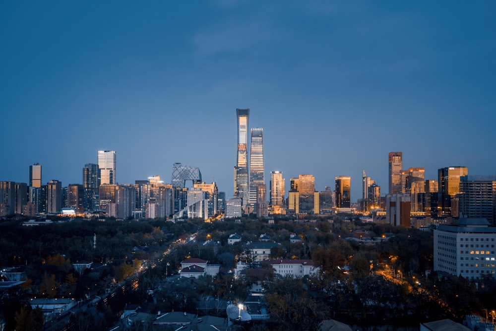 a view of a city skyline at night