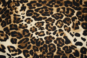 Leather Paw Collar