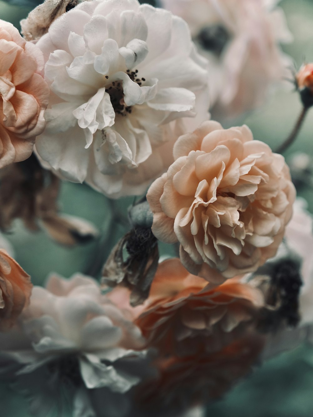 a bunch of flowers that are on a table